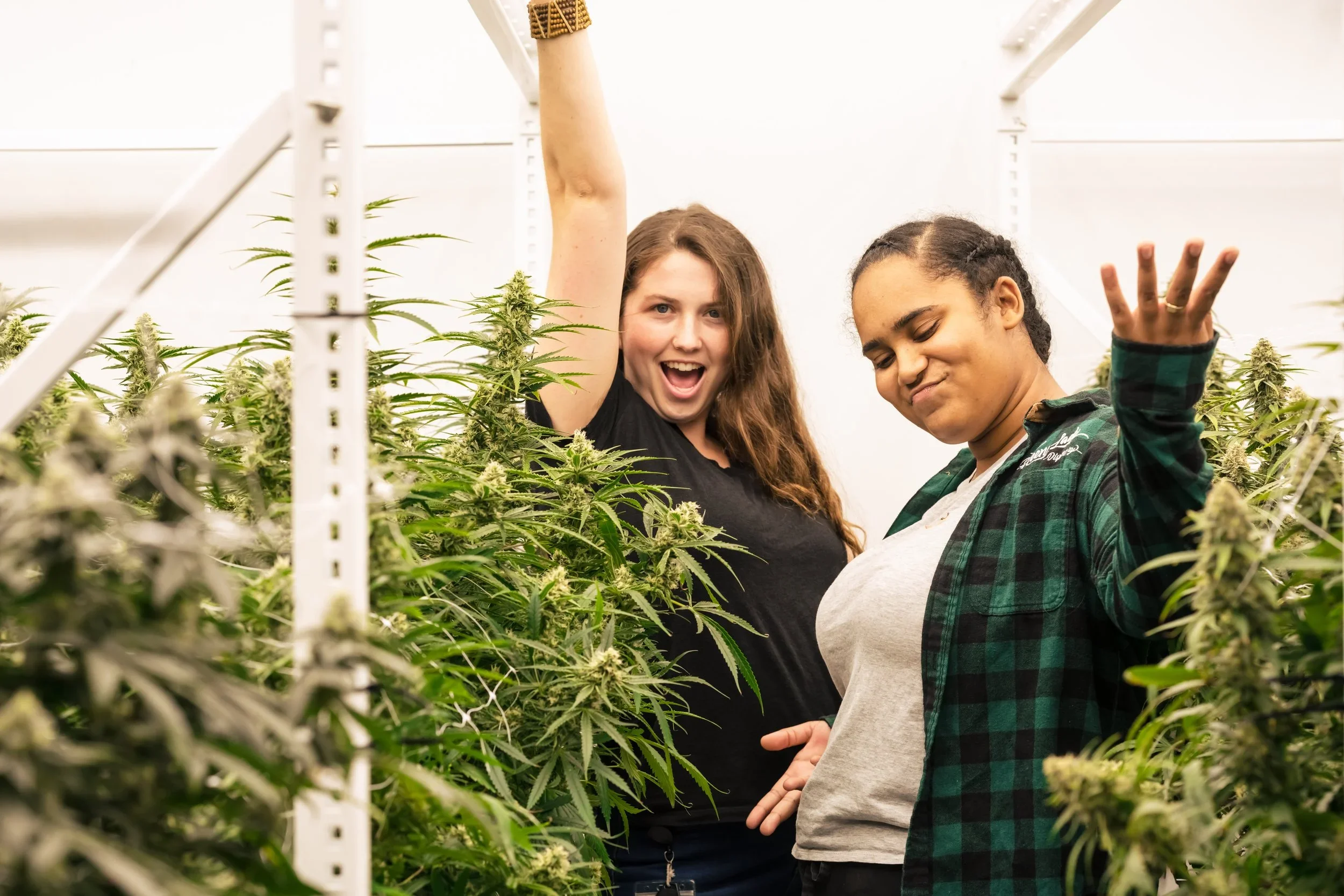 Why You Should Celebrate 420!