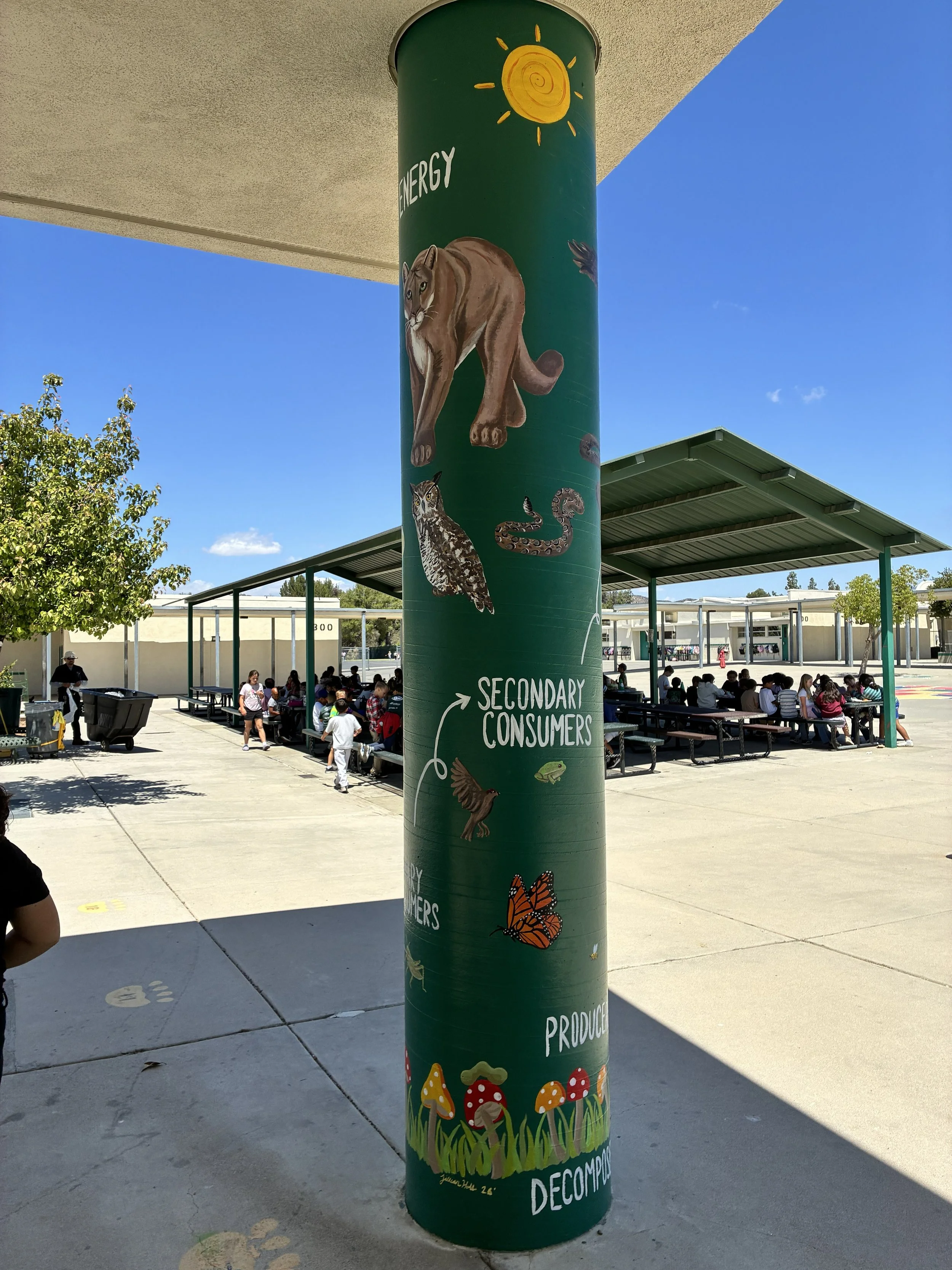 pole 4.jpg