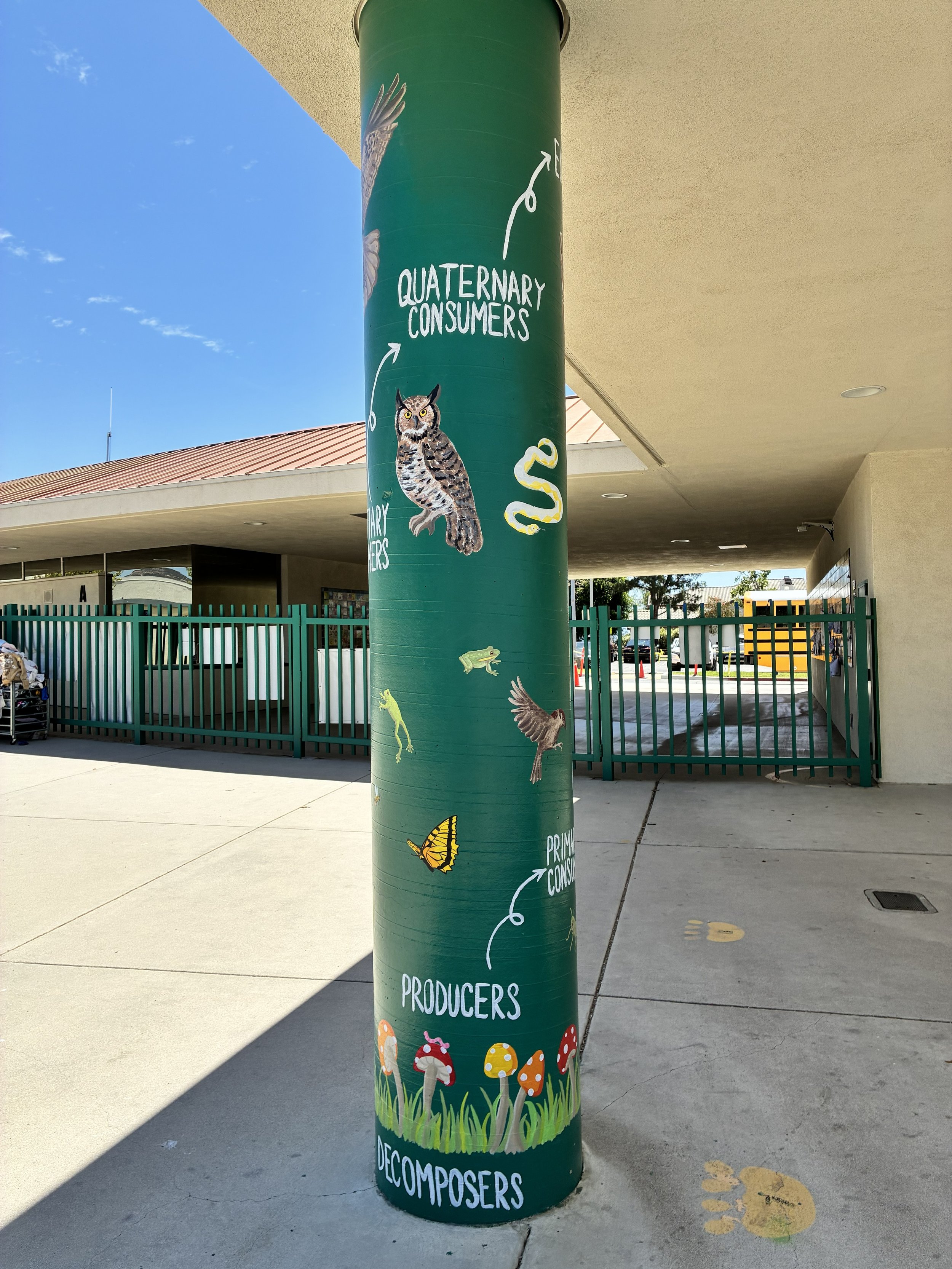 pole 6.jpg