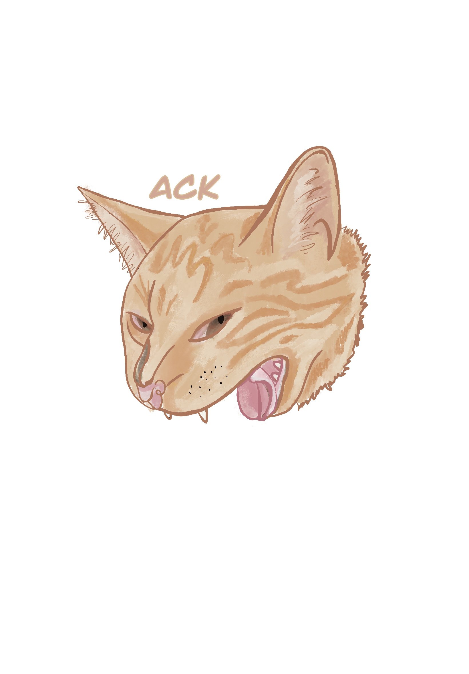 Cat sticker