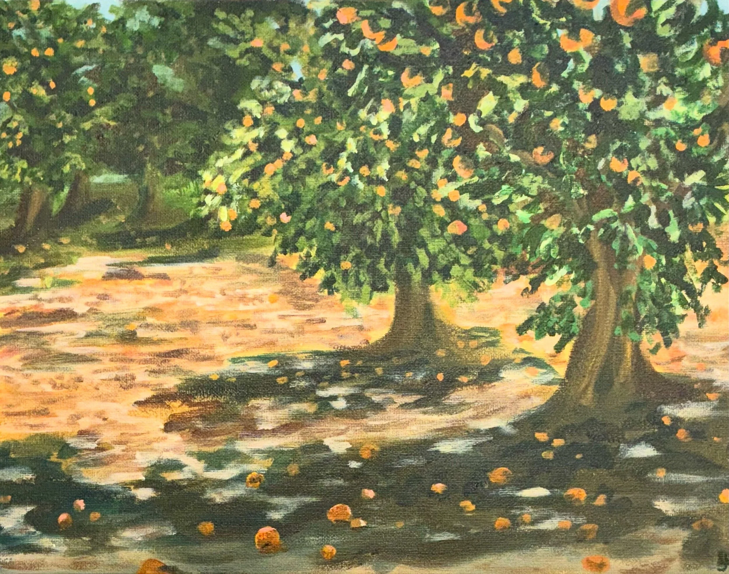 "Orange Grove" 11x14 Acrylic on canvas board