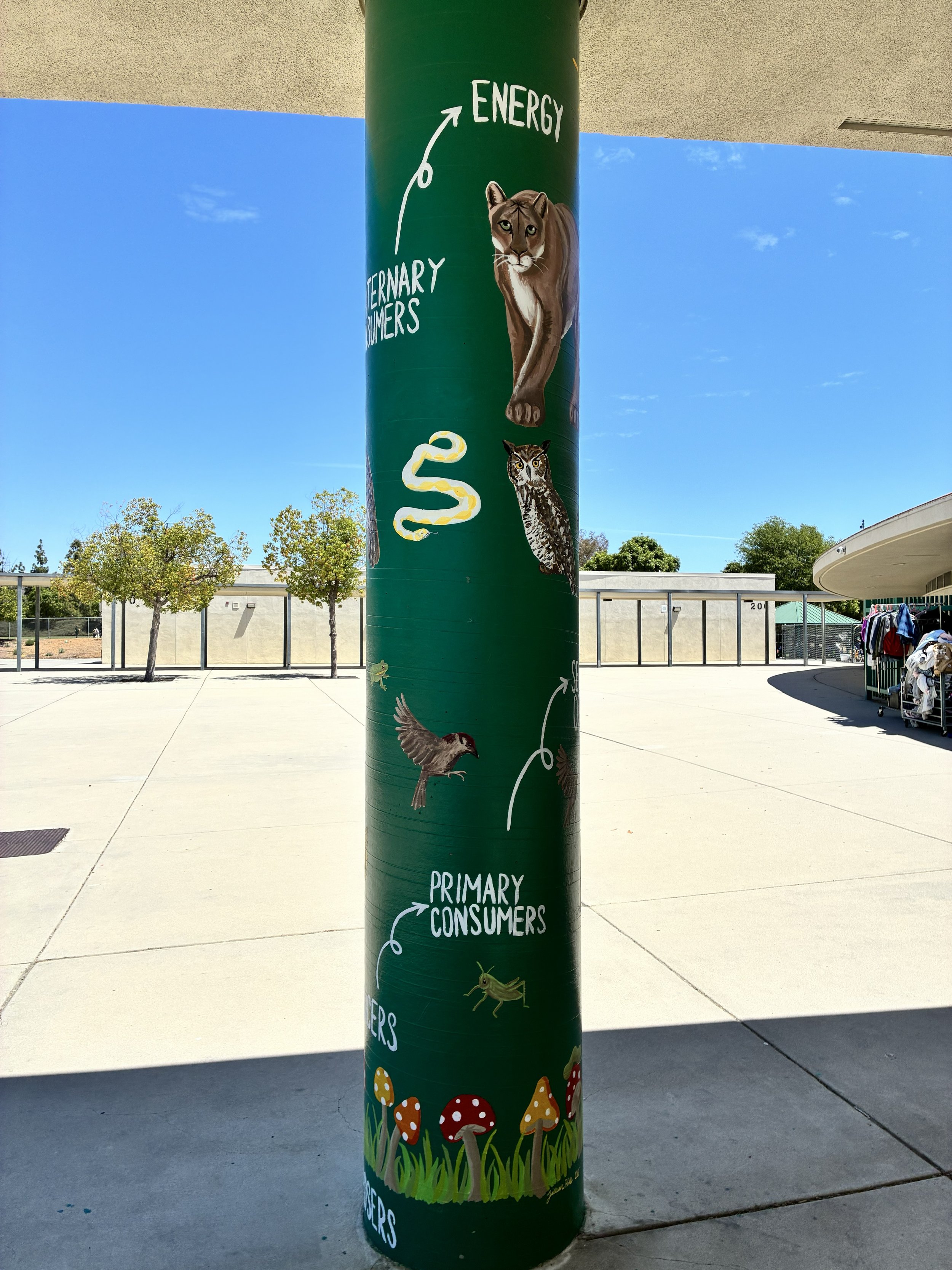 pole 5.jpg