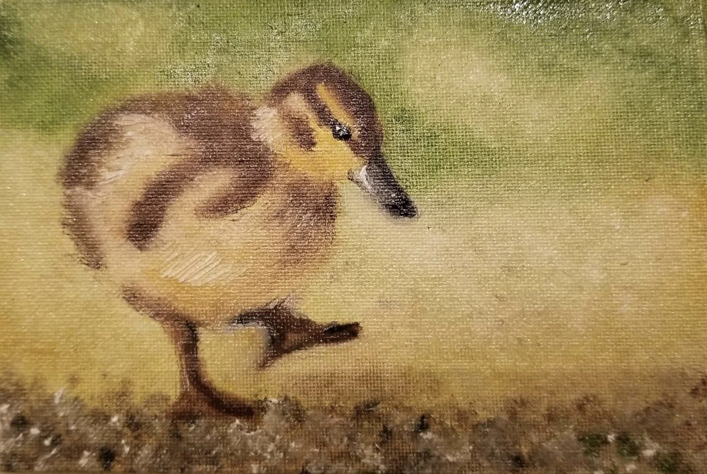 "Ducky" 4x6 Oil on canvas board