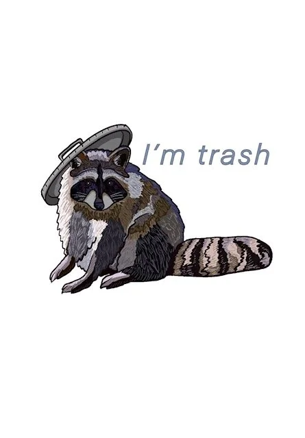Raccoon sticker