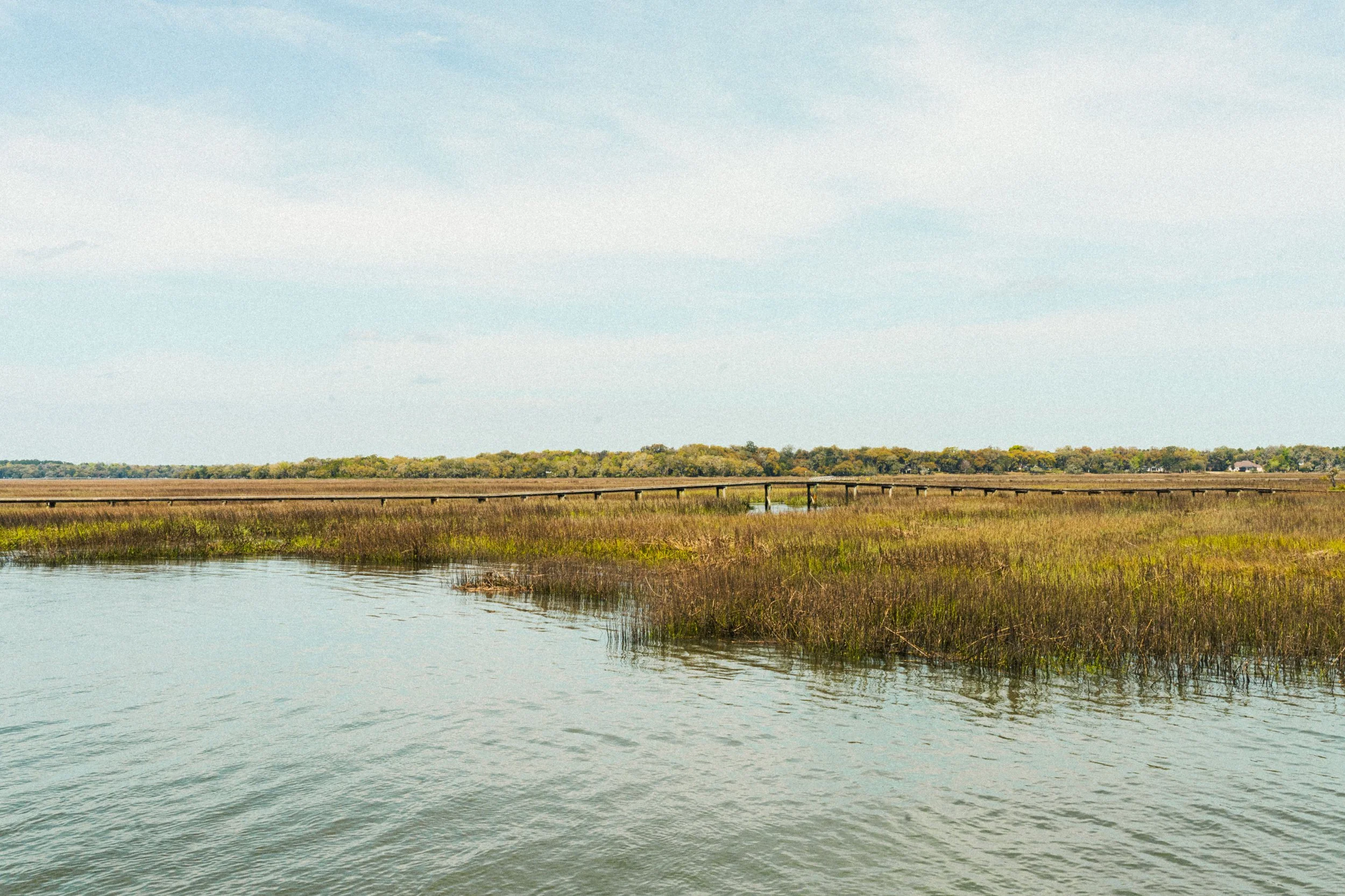 A landscape view of a marshland with water in the foreground, tall grasses along the riverbanks, a road running through the middle, and a line of trees in the background under a cloudy sky.