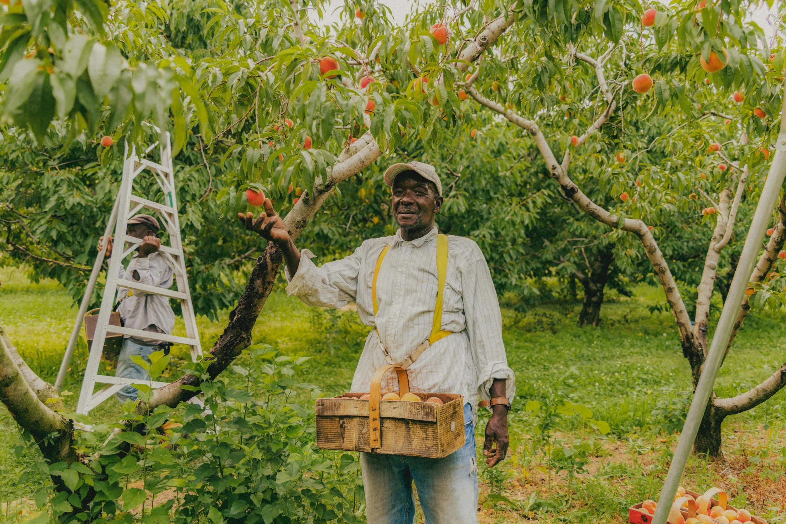 Ontario Orchard photography-8.jpg