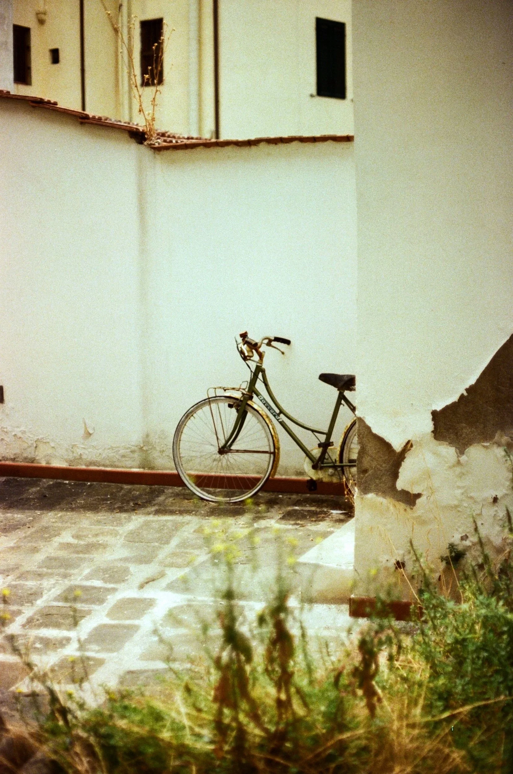 An old bicycle leaning against a white wall on a cobblestone patio, partially obscured by plants in the foreground, with a building in the background.