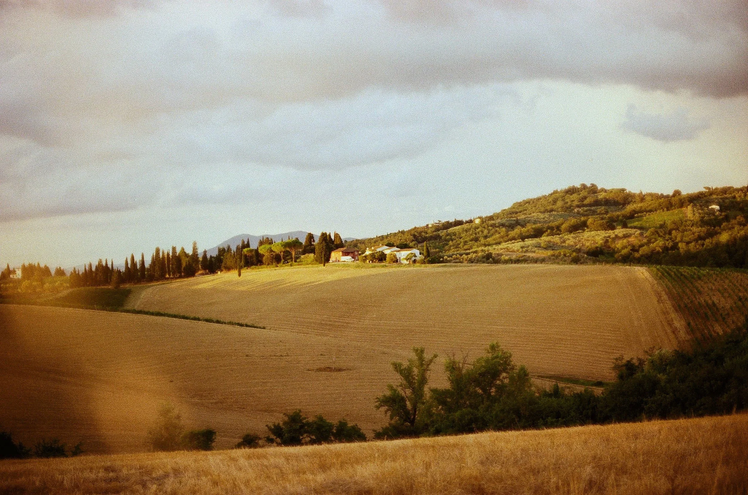 A rural landscape with rolling hills, some trees and scattered houses, under a mostly cloudy sky.
