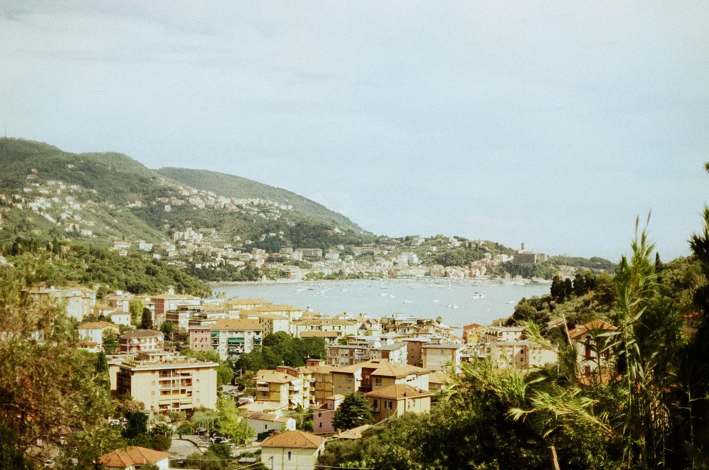 A coastal city with densely packed buildings on hills beside a body of water, with boats and a tree-lined shoreline.