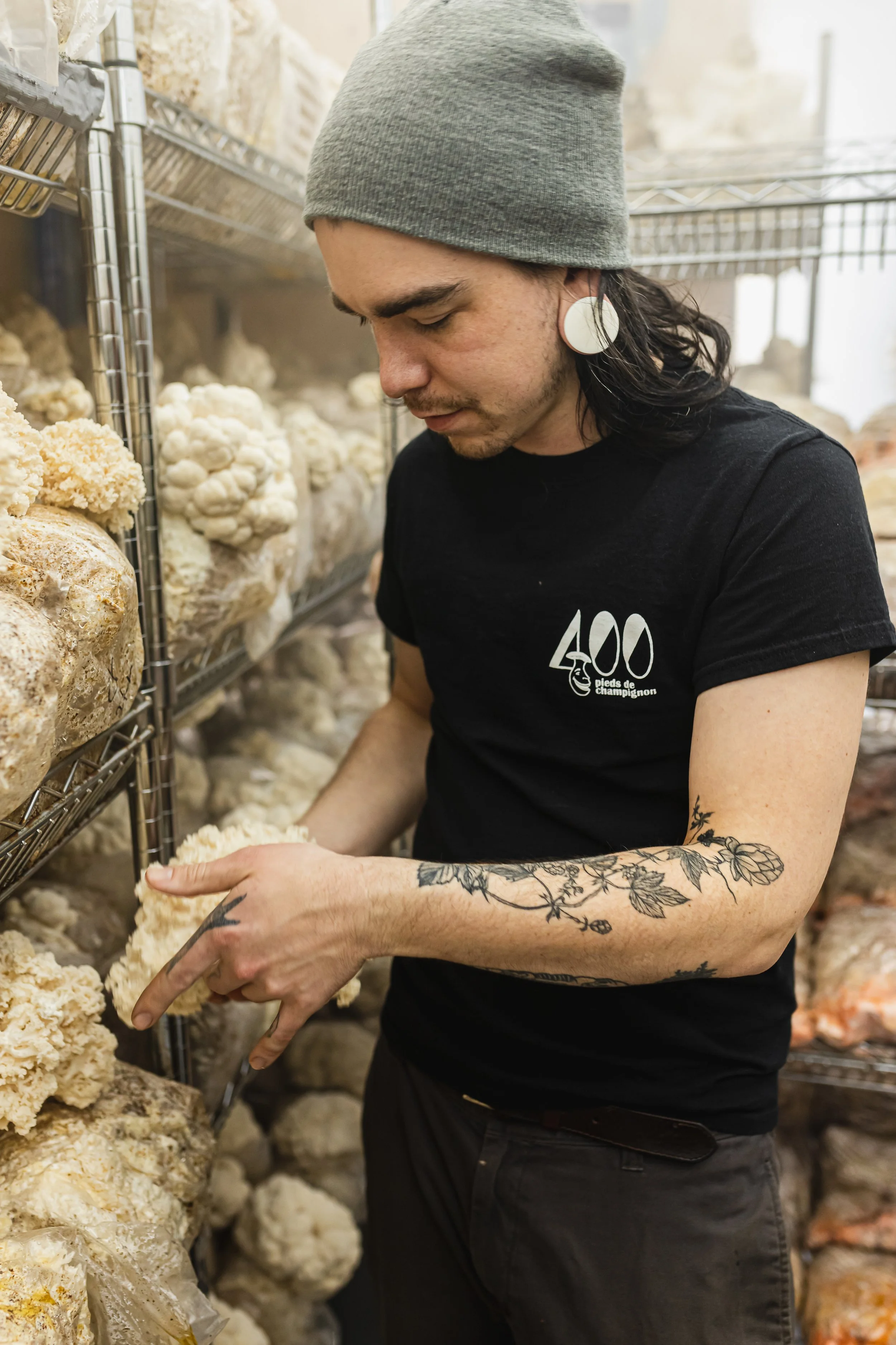 mushroom story-49.jpg