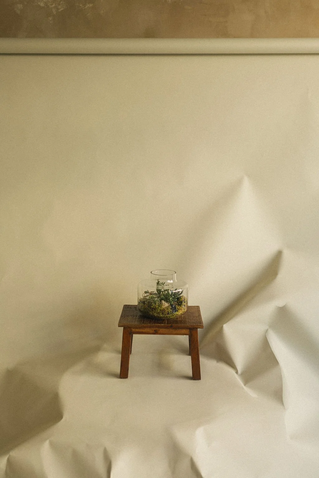 Glass terrarium on a wooden stool against a paper backdrop, Art et Fleurs floral photography Montréal