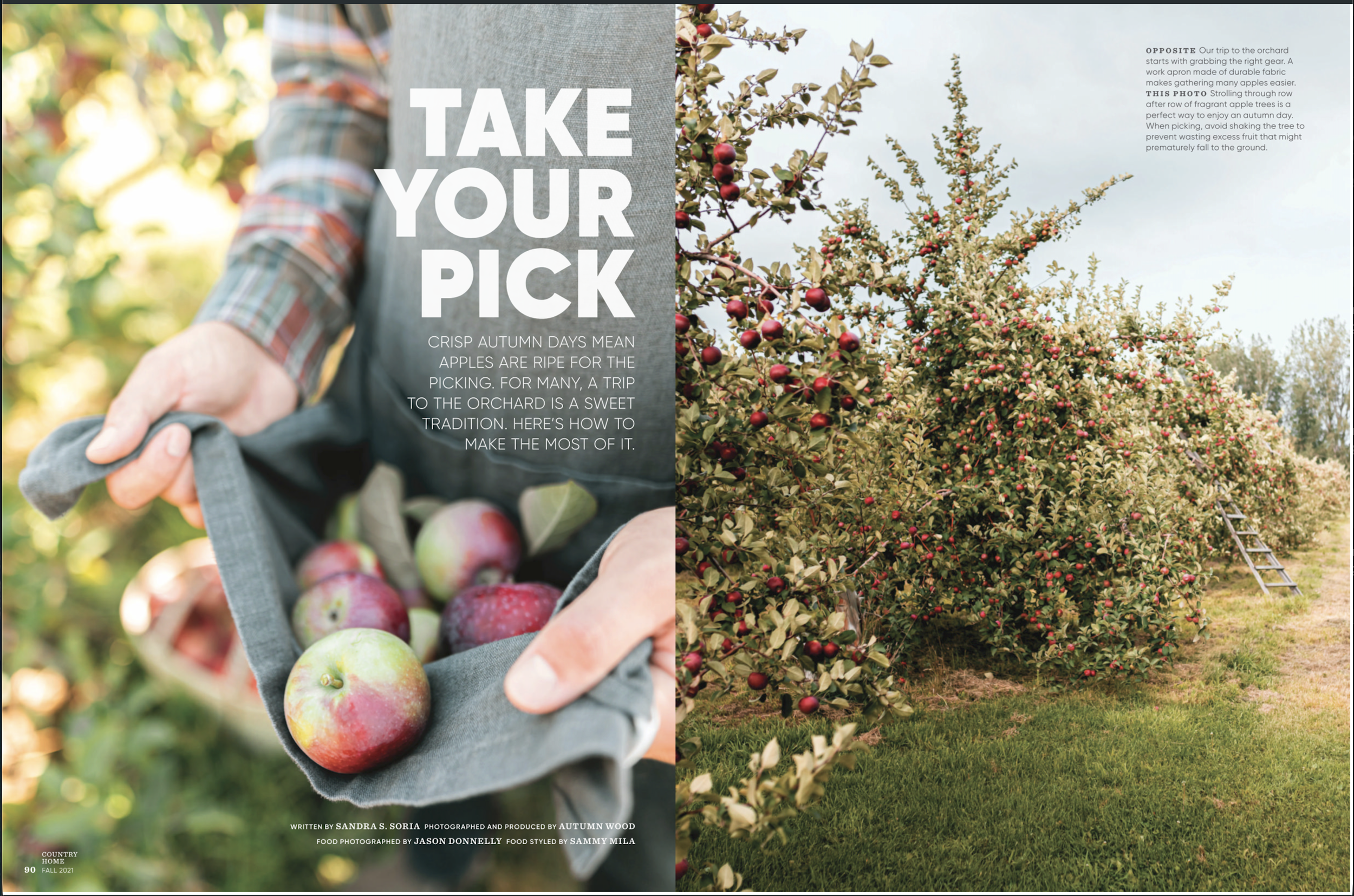 A person holding a gray basket filled with apples, with an orchard of apple trees bearing red apples in the background.