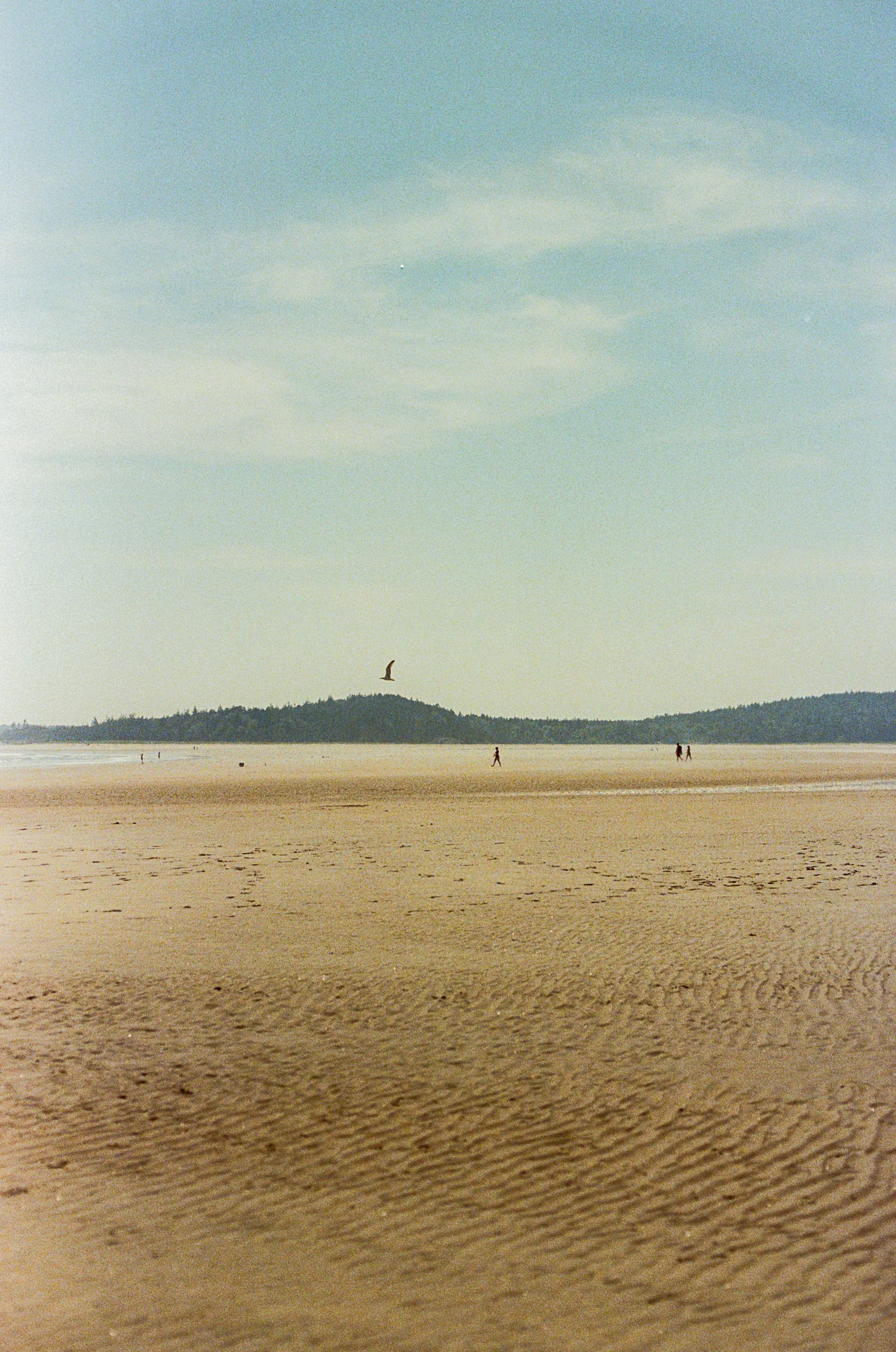 A sandy beach with a few people walking along the shoreline, a bird flying above, and distant hills under a mostly cloudy sky.