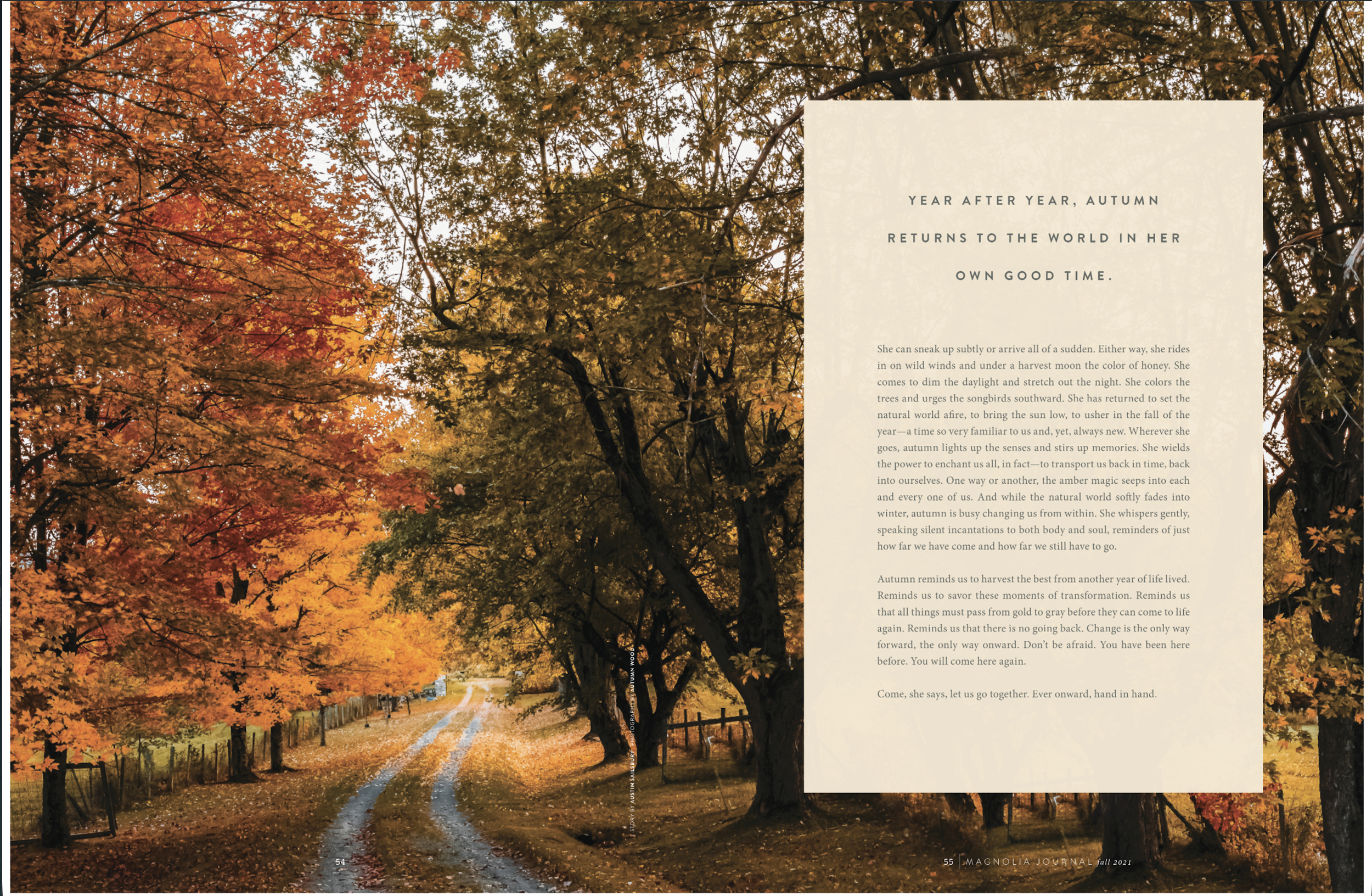 A scenic autumn landscape with a dirt path meandering through trees with vibrant orange and yellow leaves. Sunlight filters through the foliage, casting a warm glow over the scene. Overlaid on the right side of the image is a block of text with a bei