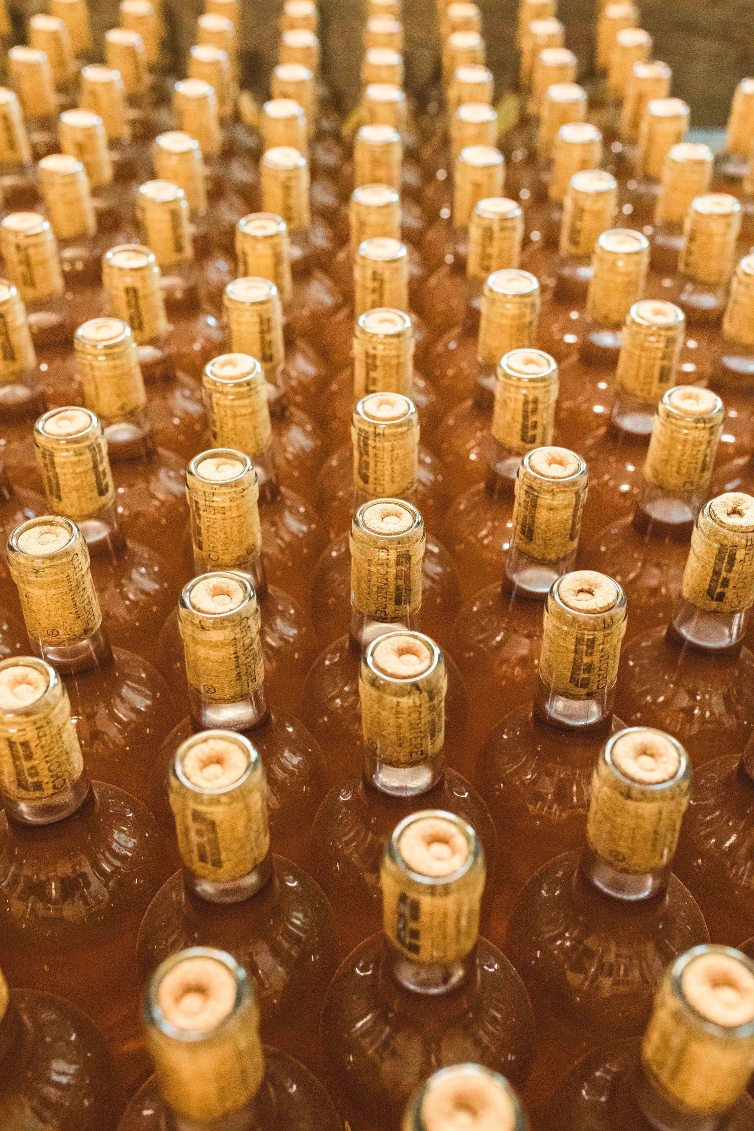 Rows of capped bottles at an artisan producer, documentary photography by A. Wood