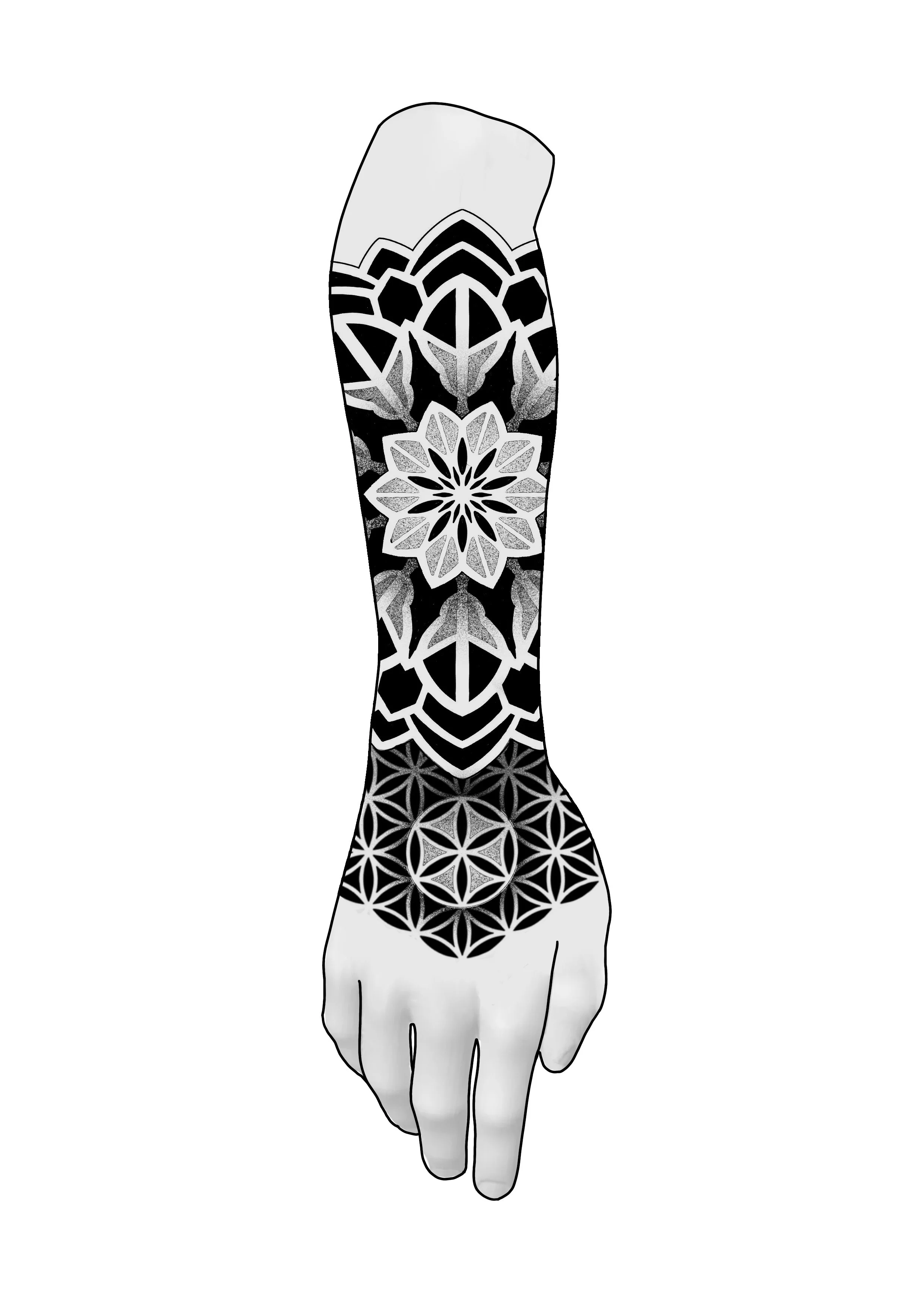 Forearm_35.jpg
