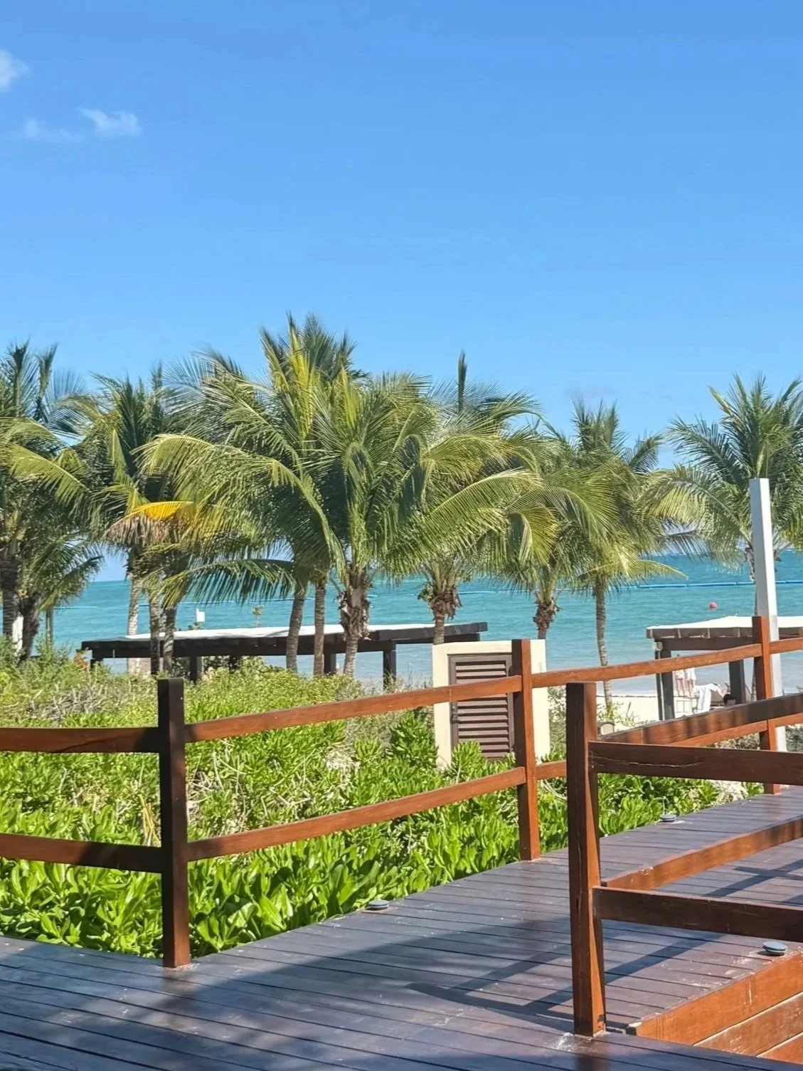 Beach scene with palm trees, wooden deck, and ocean in the background under a clear blue sky.