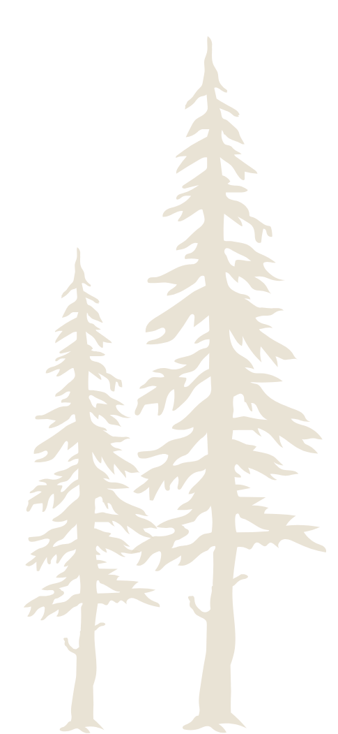 Silhouette of three pine trees on a black background.