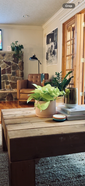 Living room with a wooden table, potted plant, candles, and a couch with pillows.