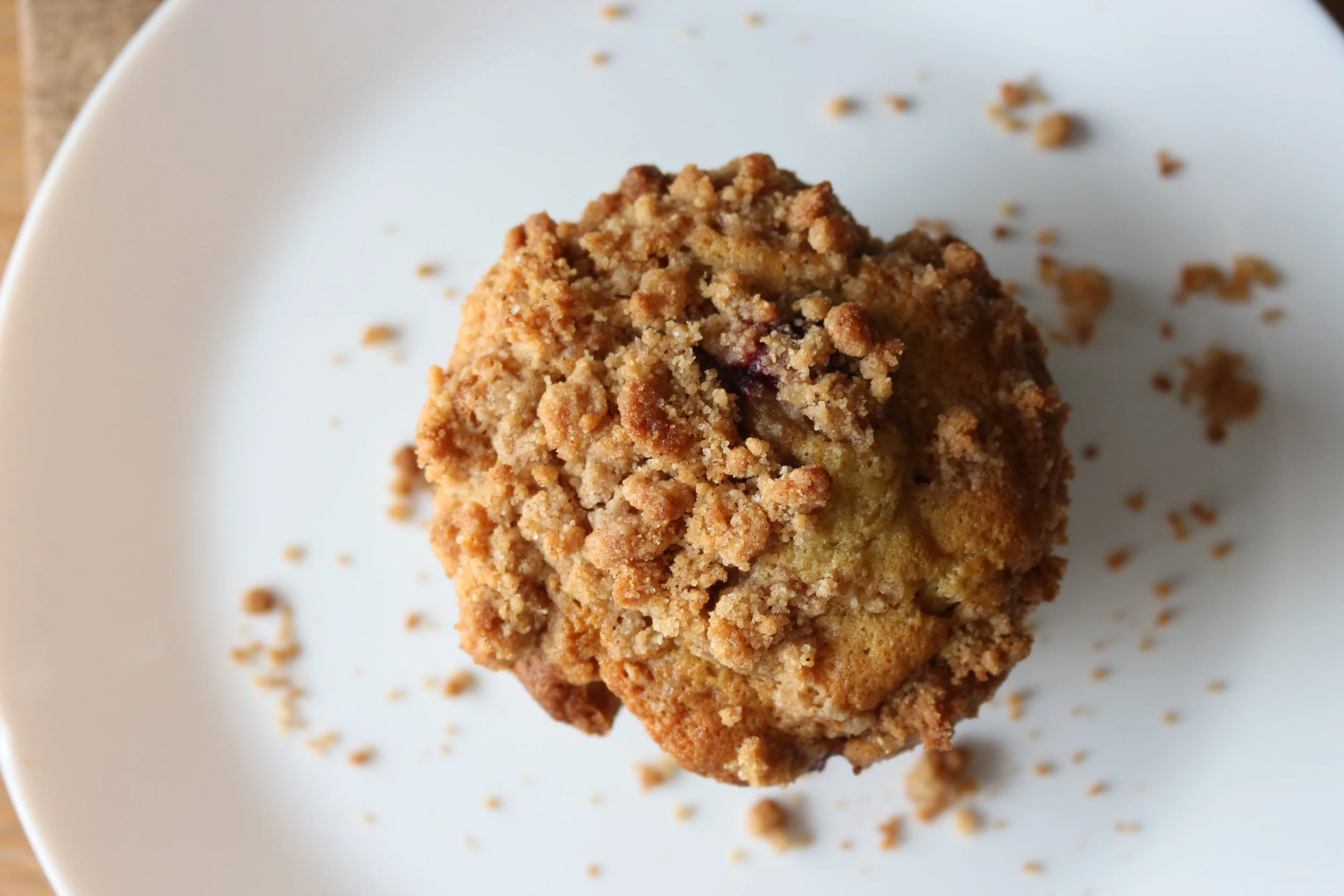 Plumpy Bakery Blueberry Muffin