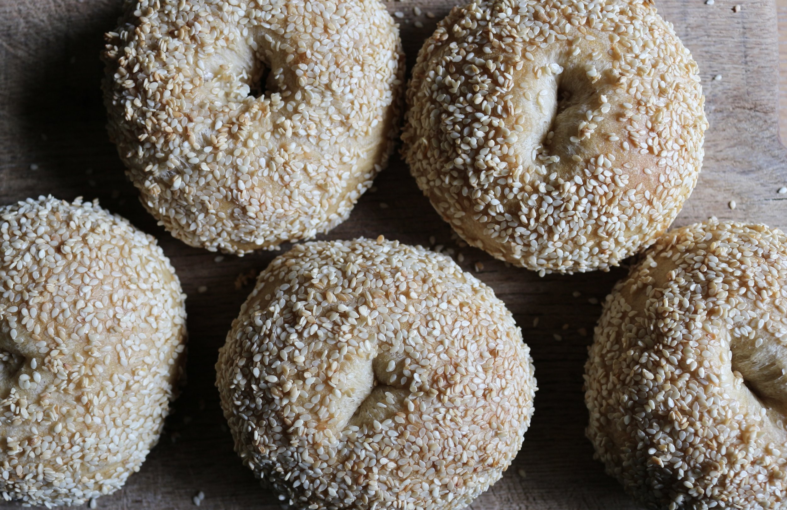 Plumpy Bakery White Sesame Bagels