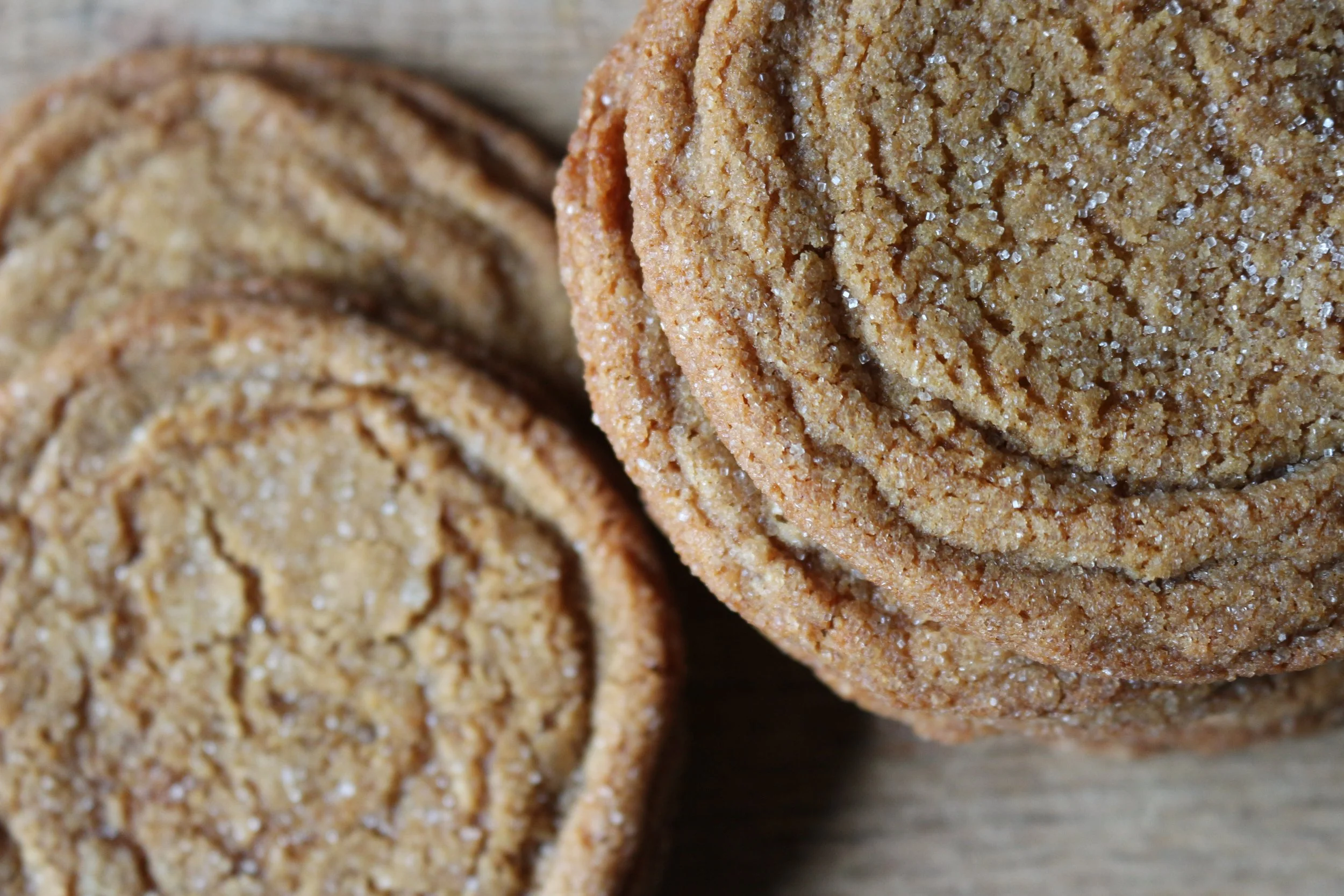 Plumpy Bakery Ginger Molasses Cookie