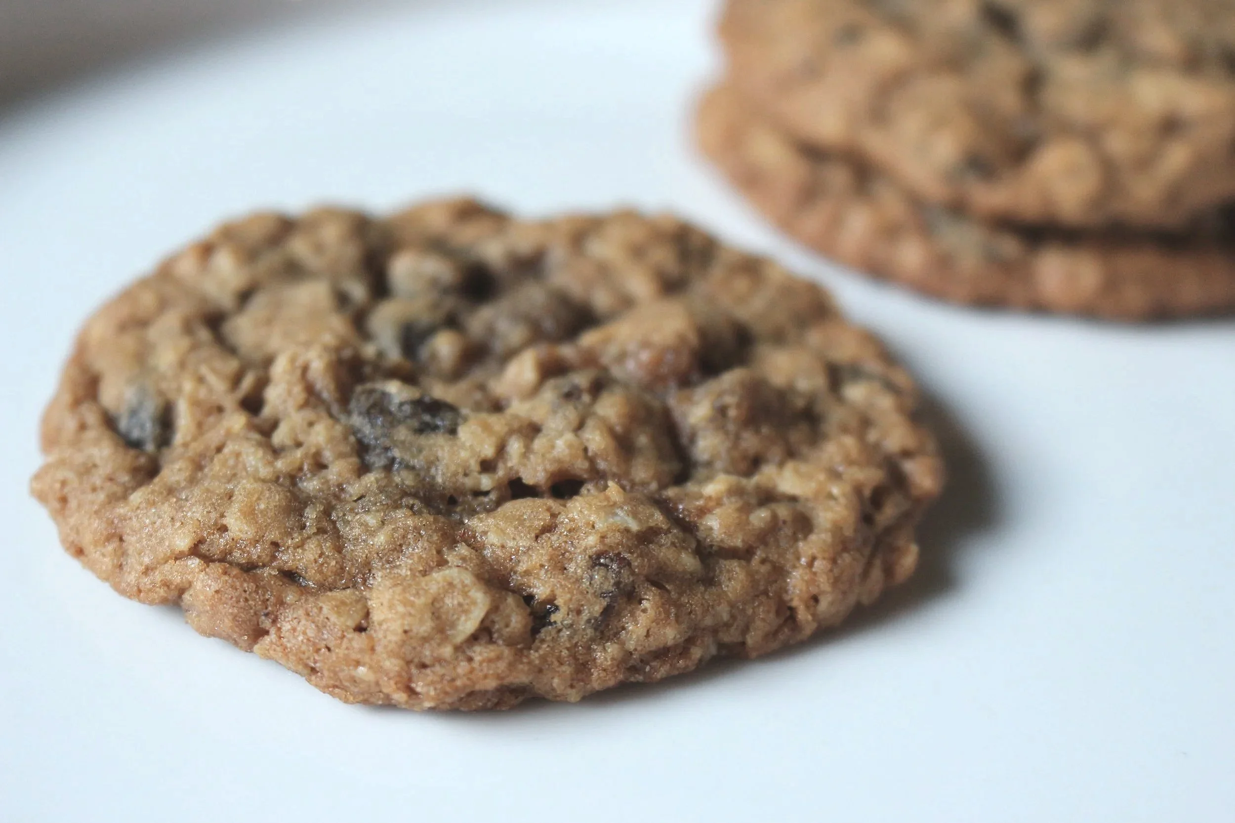 Plumpy Bakery Oatmeal Raisin Cookie