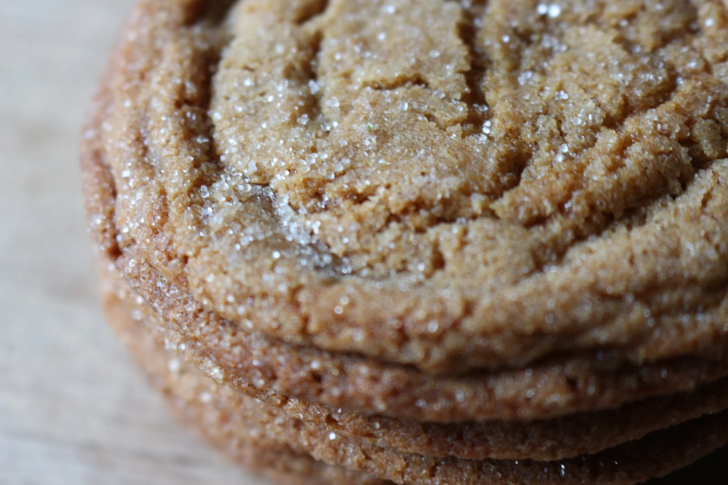 Plumpy Bakery Ginger Molasses Cookie