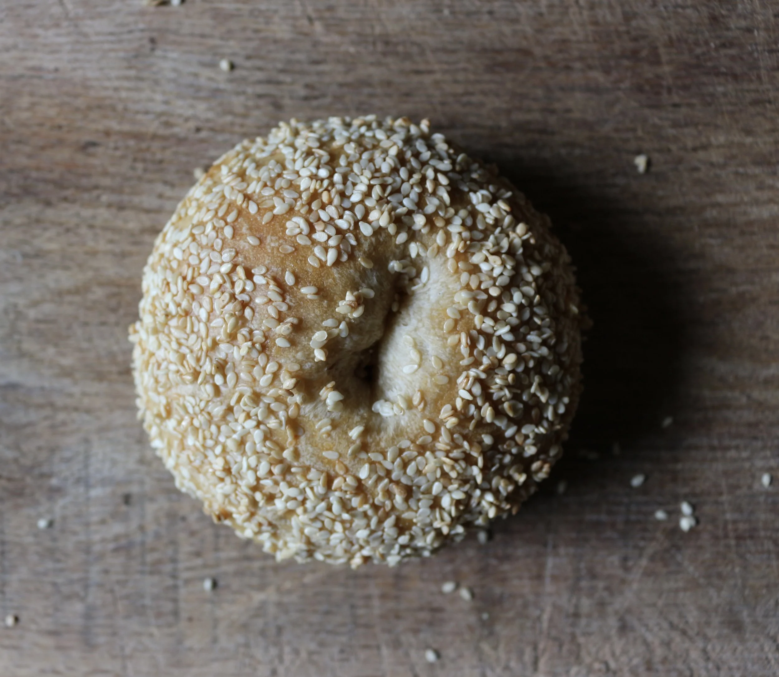 Plumpy Bakery White Sesame Bagels