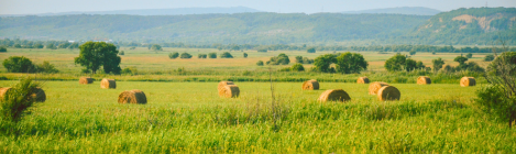 Open farmland with hay bales scattered across a green field, trees in the distance, and mountains on the horizon.