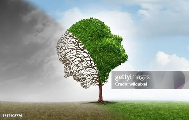 Why Bipolar Disorder Is Often Misdiagnosed—and Why So Many People Feel Like Nothing Is Working