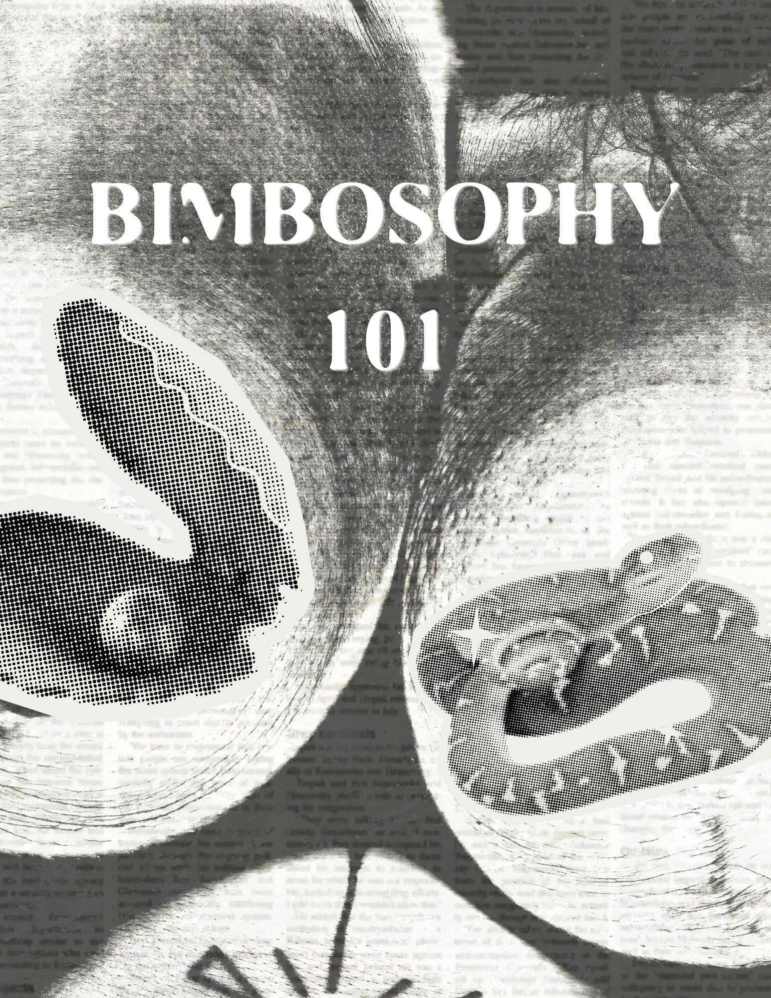 bimbosophy 101