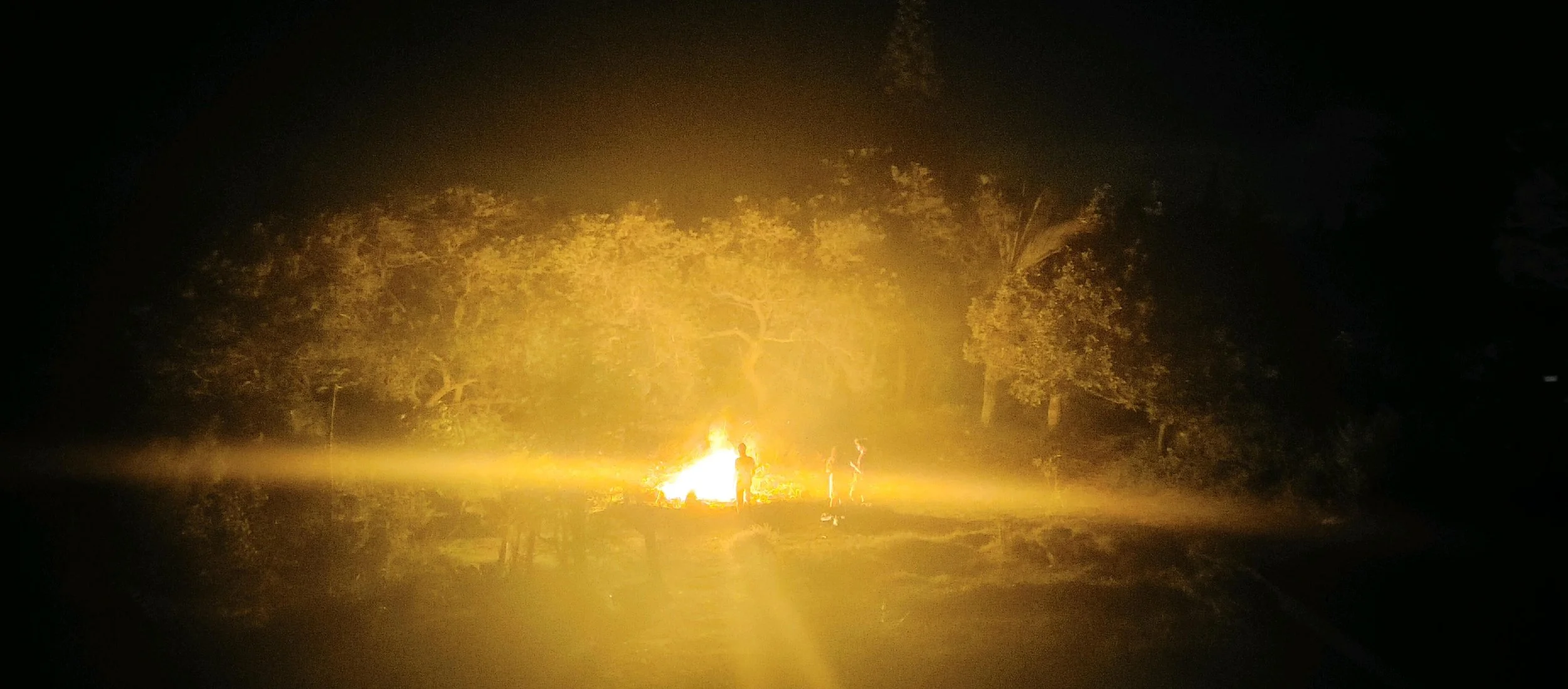 People gathered near a bonfire in a dark outdoor area surrounded by trees.