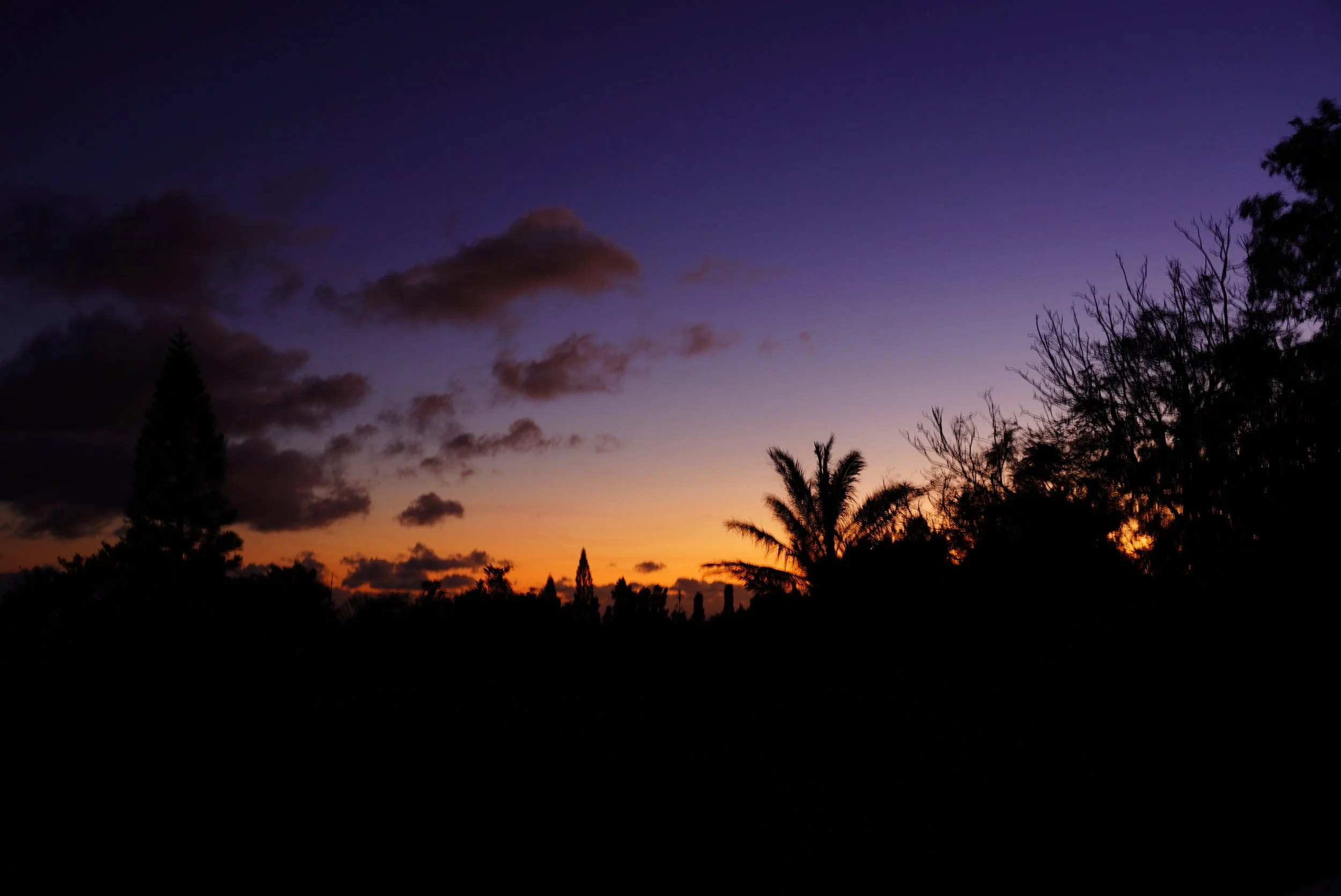 A silhouette of trees against a colorful sunset sky with purple, orange, and yellow hues.