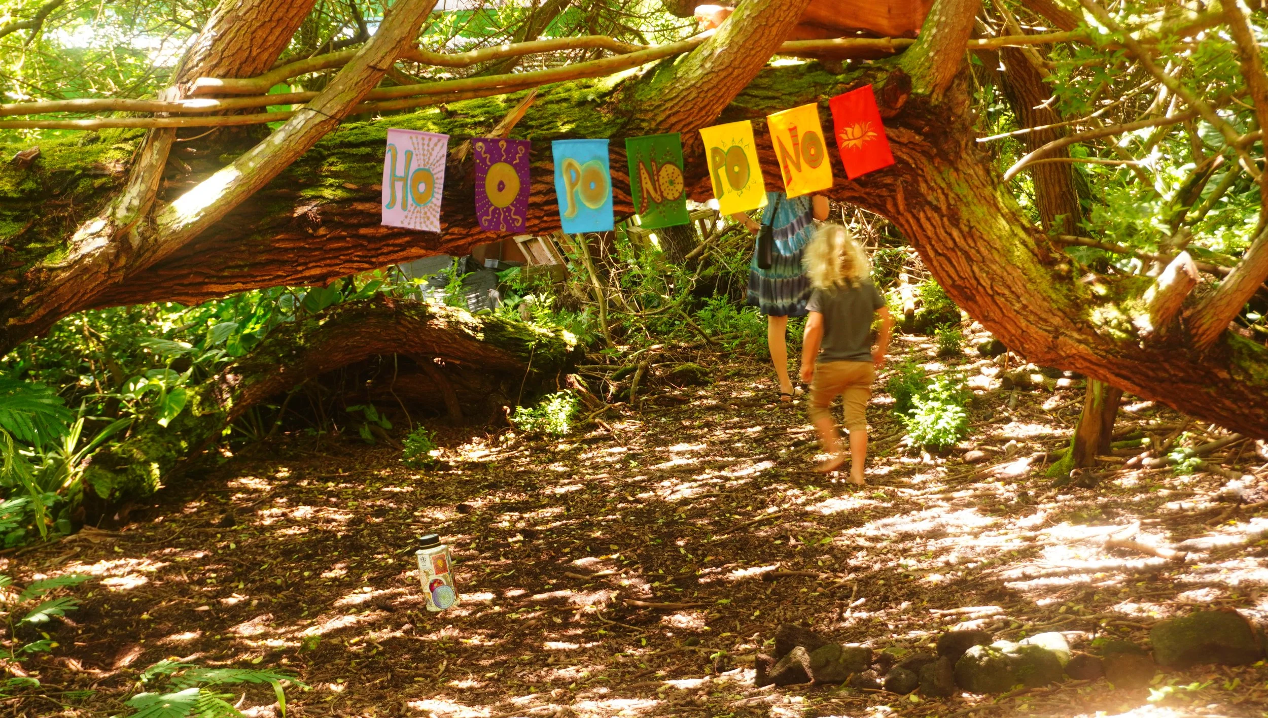 A wooded outdoor scene with a large fallen tree trunk with colorful banners that spell 'Hola' hanging across it, sunlight filtering through leaves, and two children walking on a forest path.