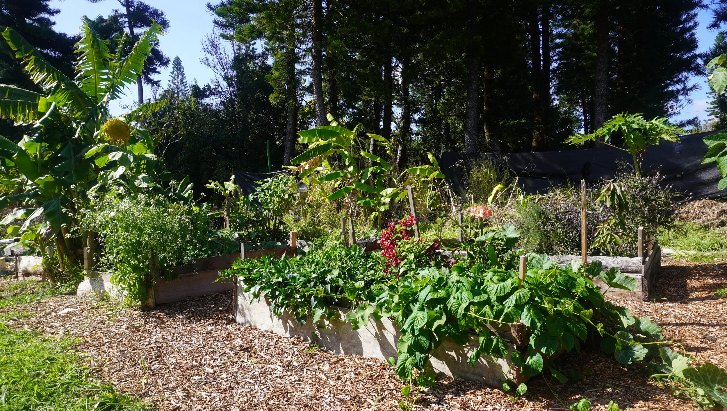 The Gardens