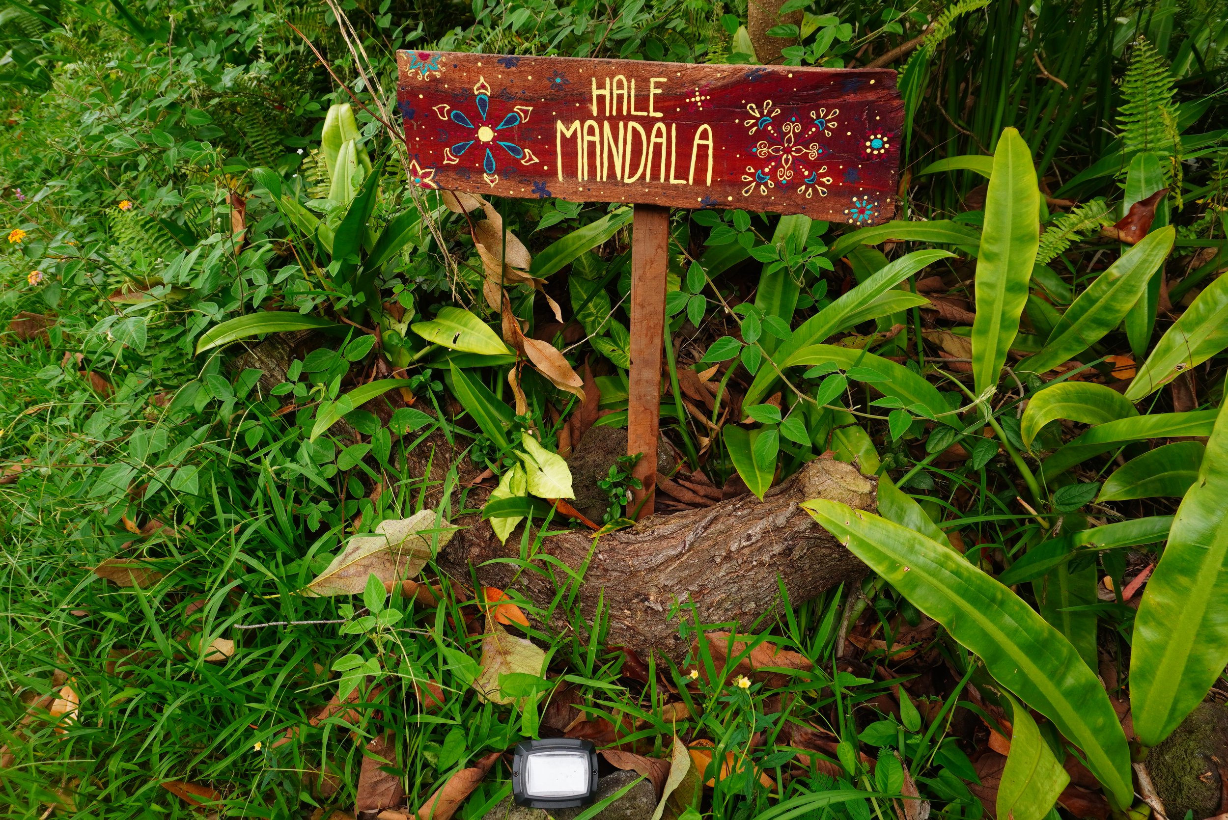 Hale Mandala
