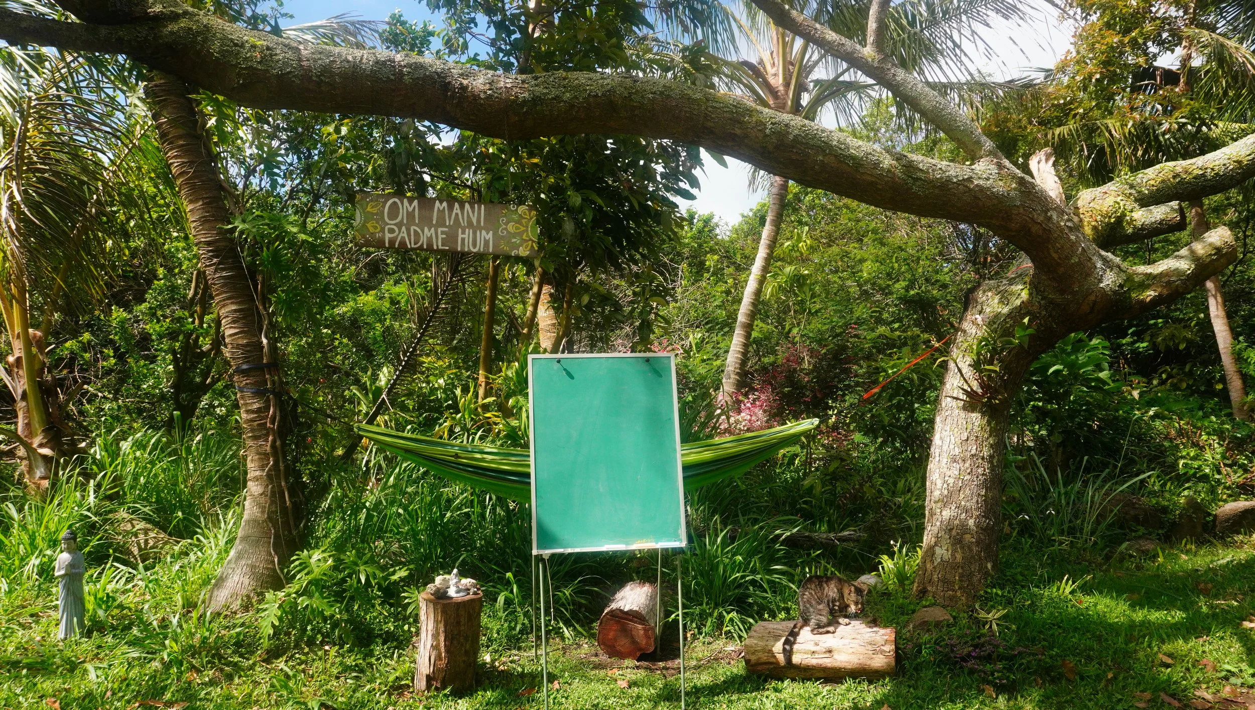 Permaculture Education