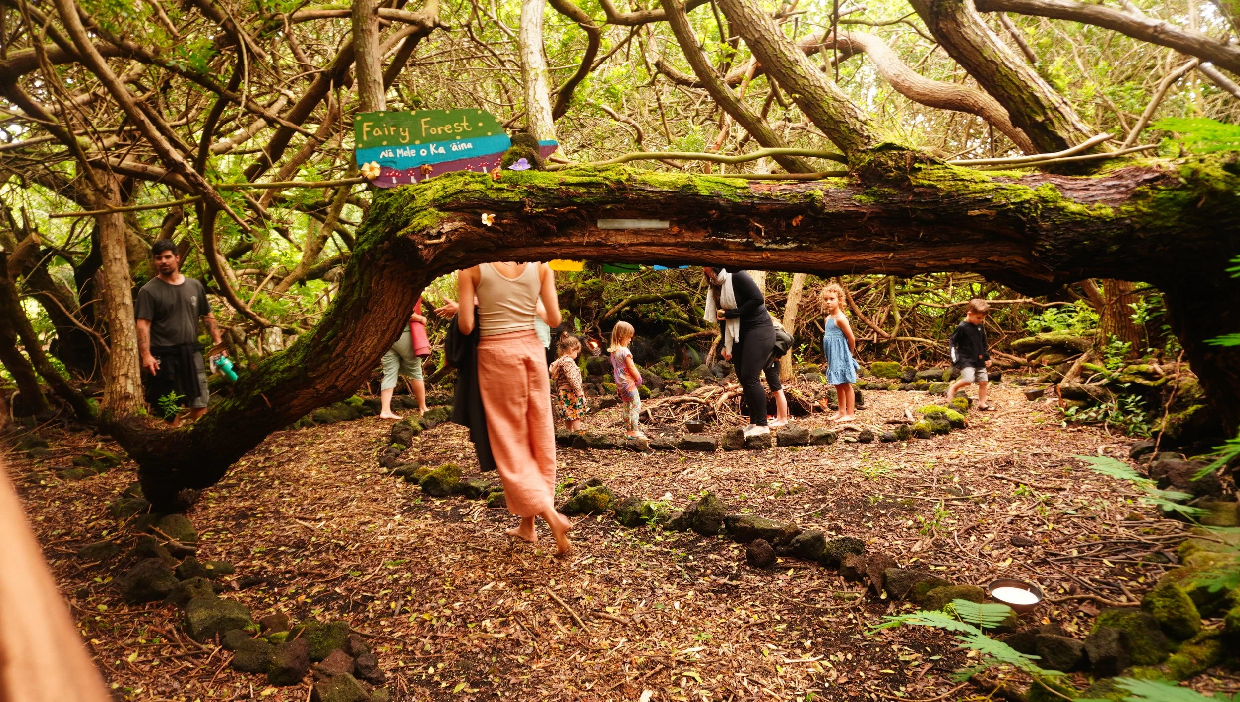 People exploring a forest with dense trees; some standing, some sitting or walking; a colorful sign reads 'Fairy Forest' with additional text, surrounded by mossy logs and rocks.