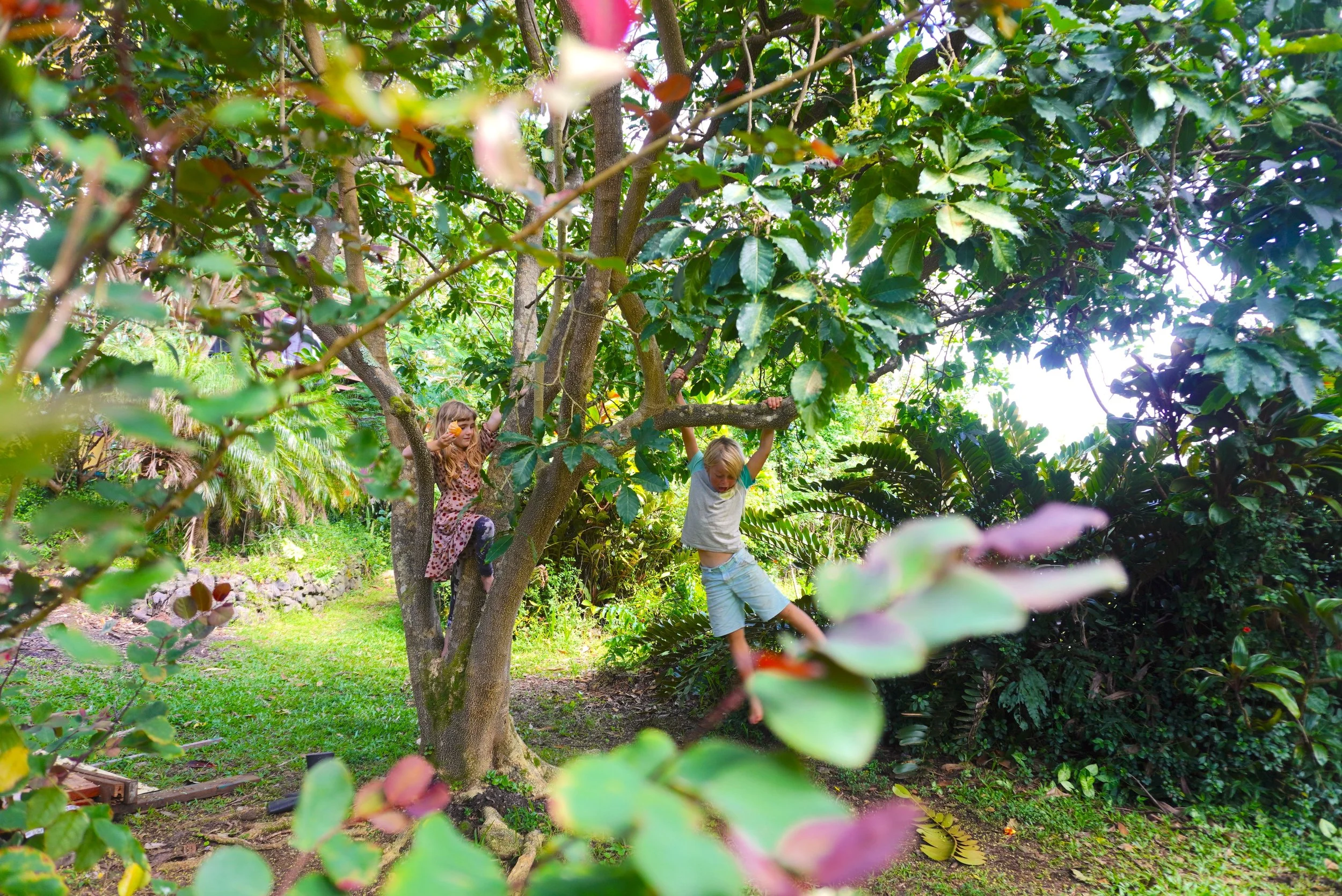DSC01849.JPG