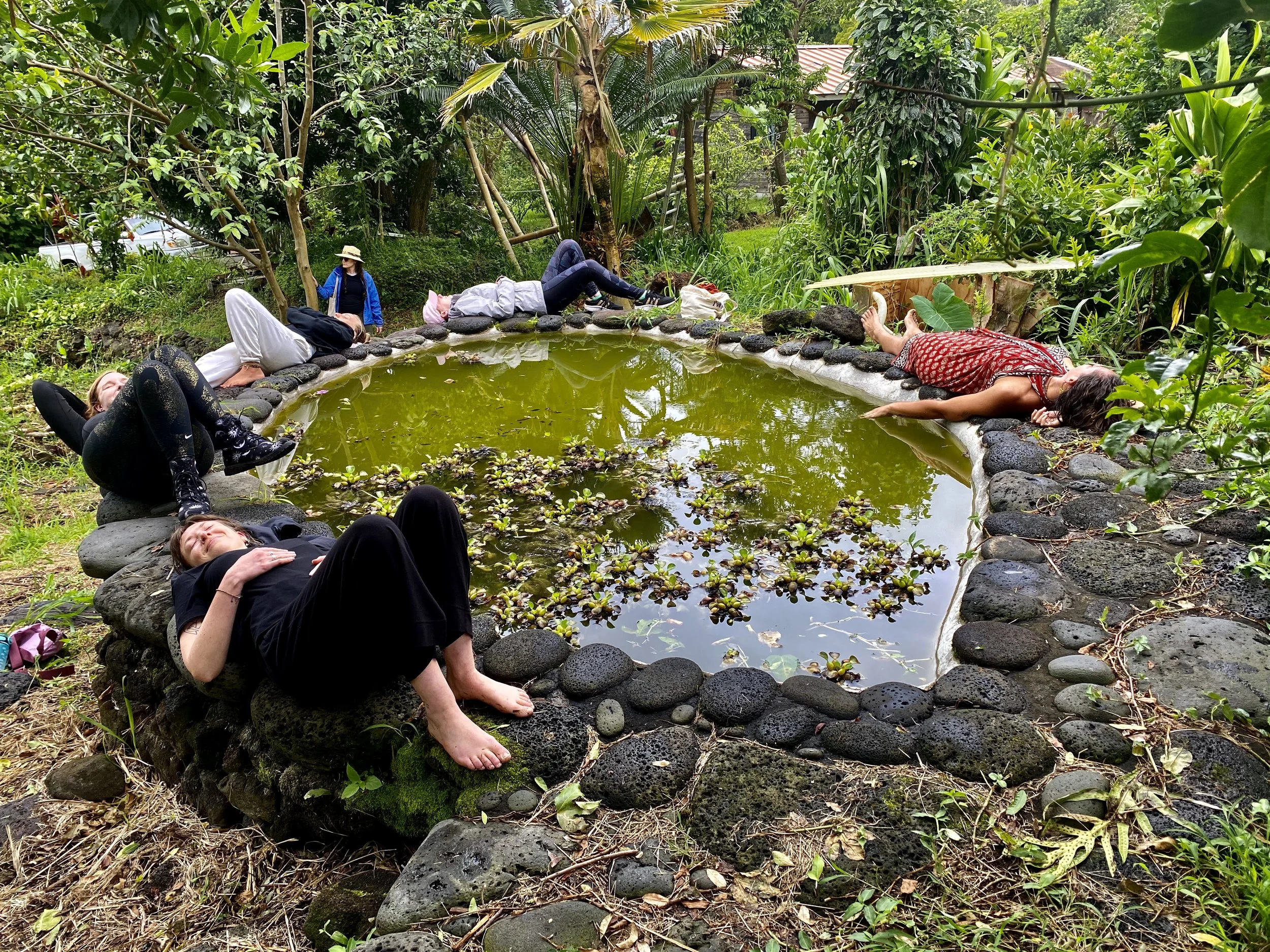 Group of people lying on the edge of a small pond with green water, surrounded by stones, in a lush garden with dense trees and plants.