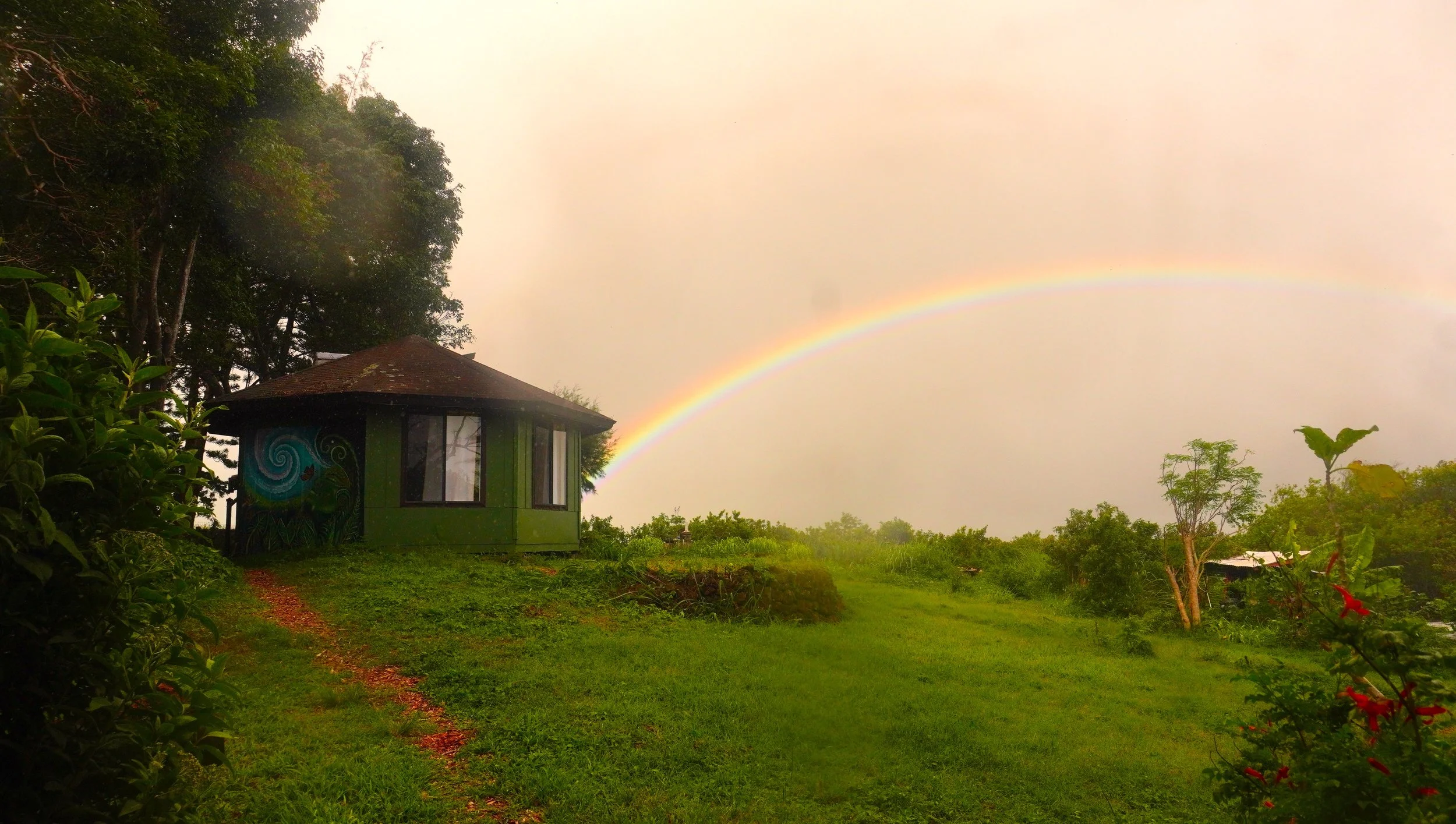 A small green house with artistic murals on its walls is situated on a lush grassy landscape. A vibrant rainbow arches across the cloudy sky in the background, surrounded by tall trees and various plants.