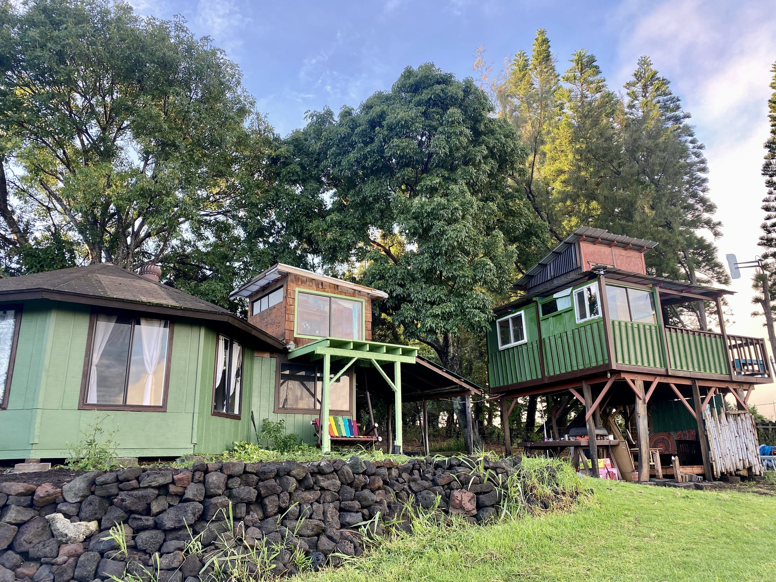 Colorful tiny houses with large trees in the background under a blue sky, fenced garden in front.