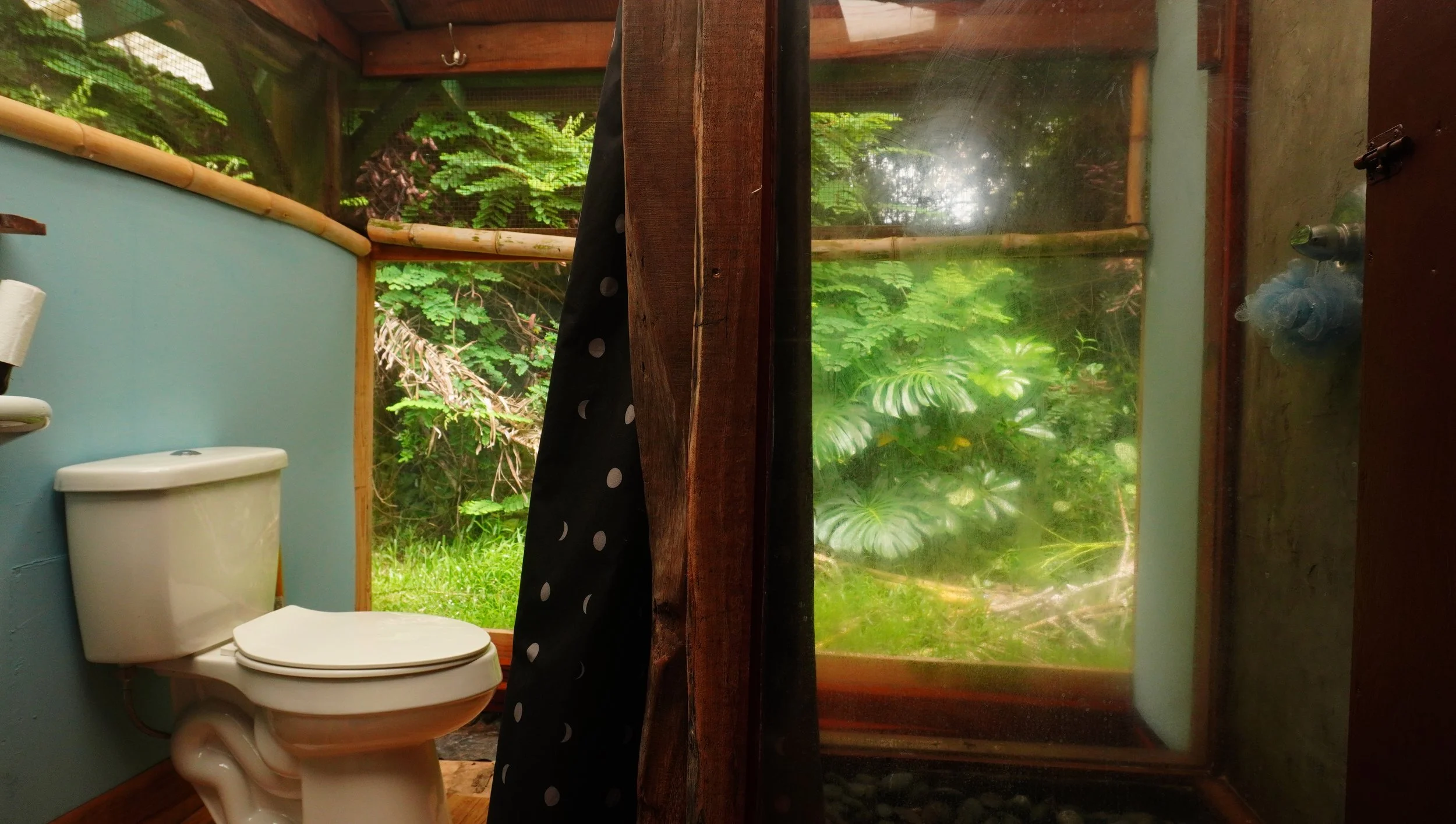 junglebathroom.JPG