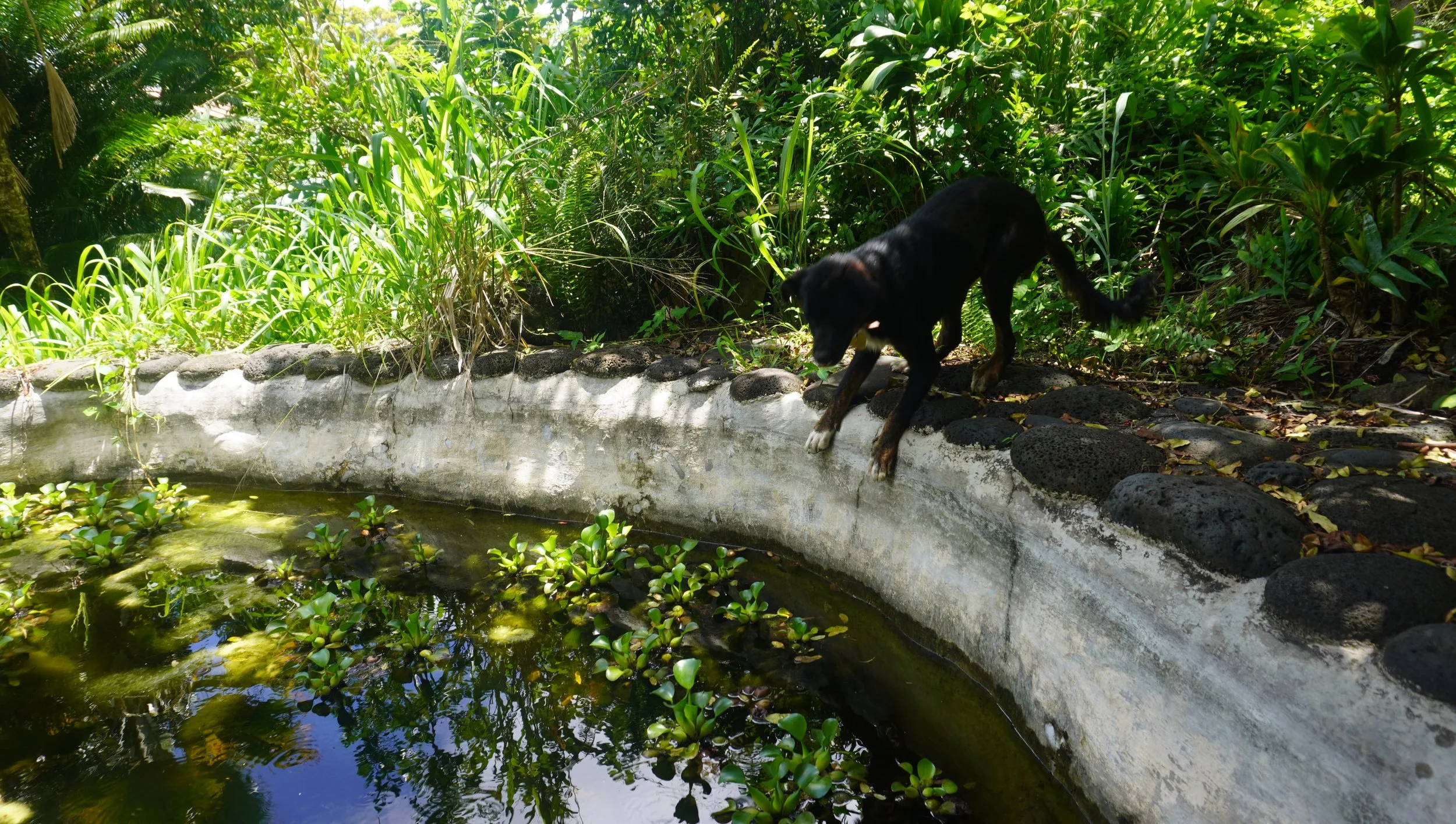 DSC05957.JPG