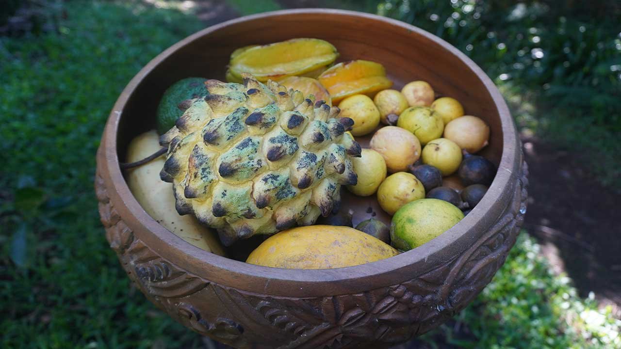 fruit-masonry-4.jpg
