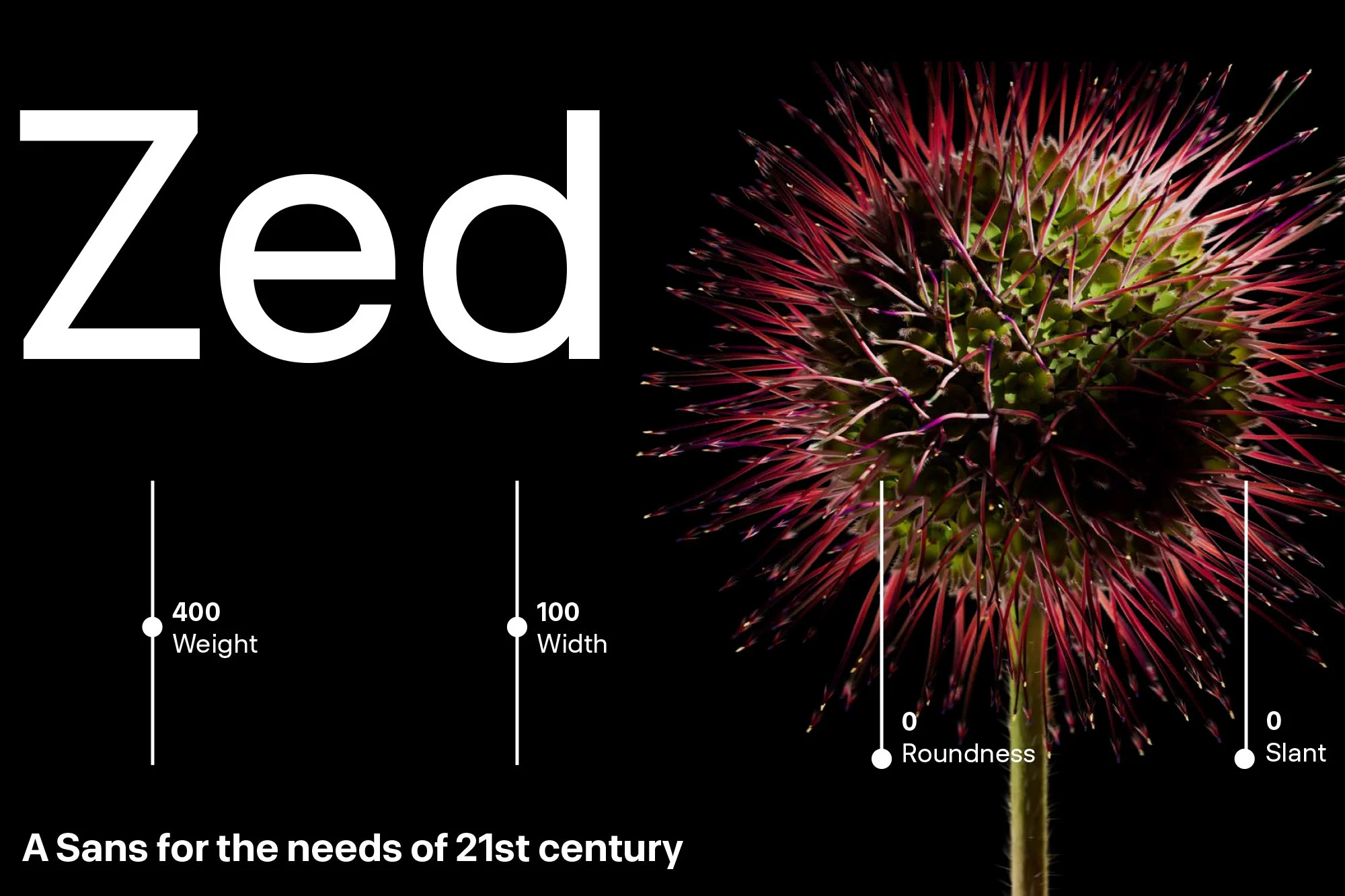 THE NEW HELVETICA