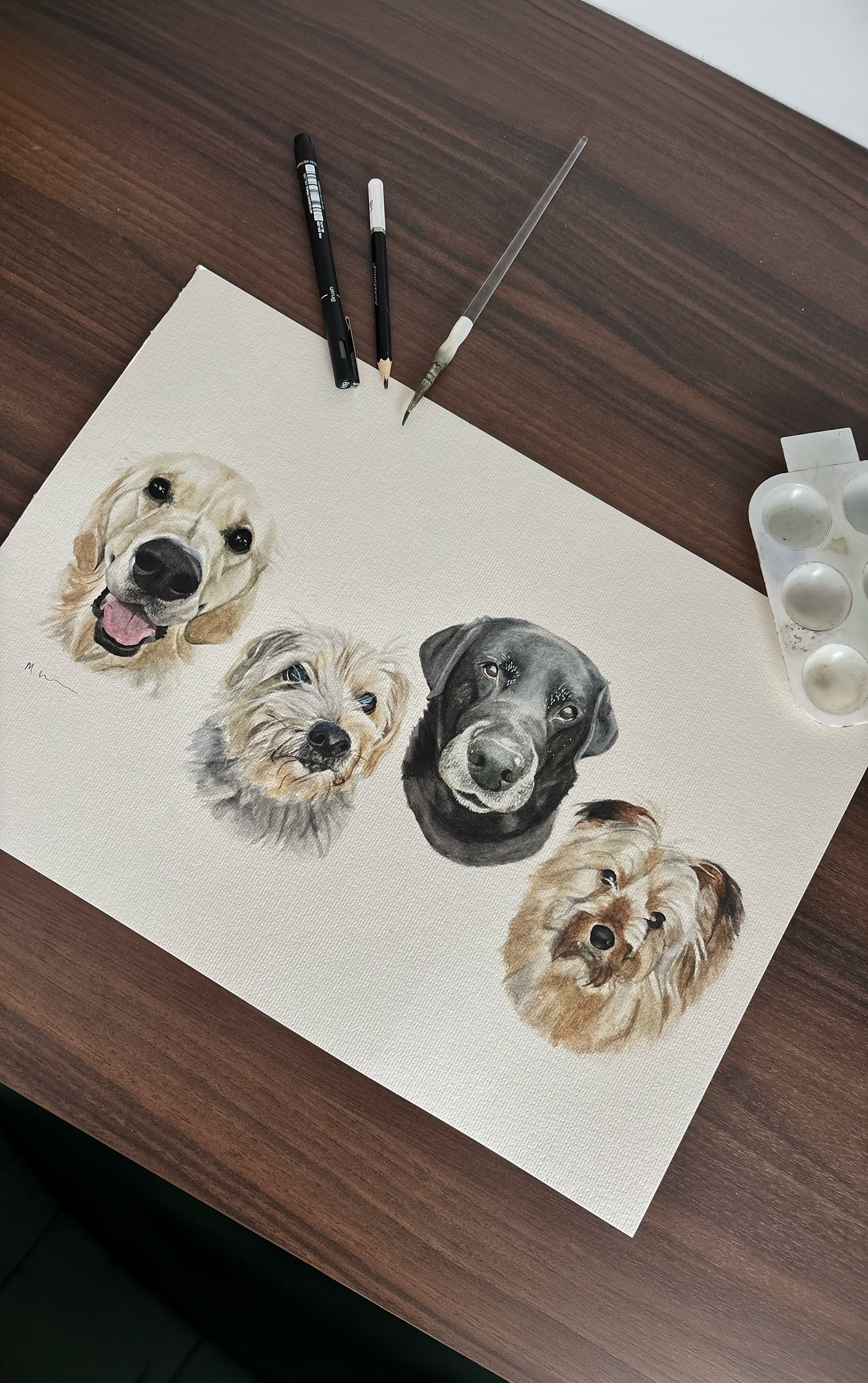 Multiple Pet Portraits