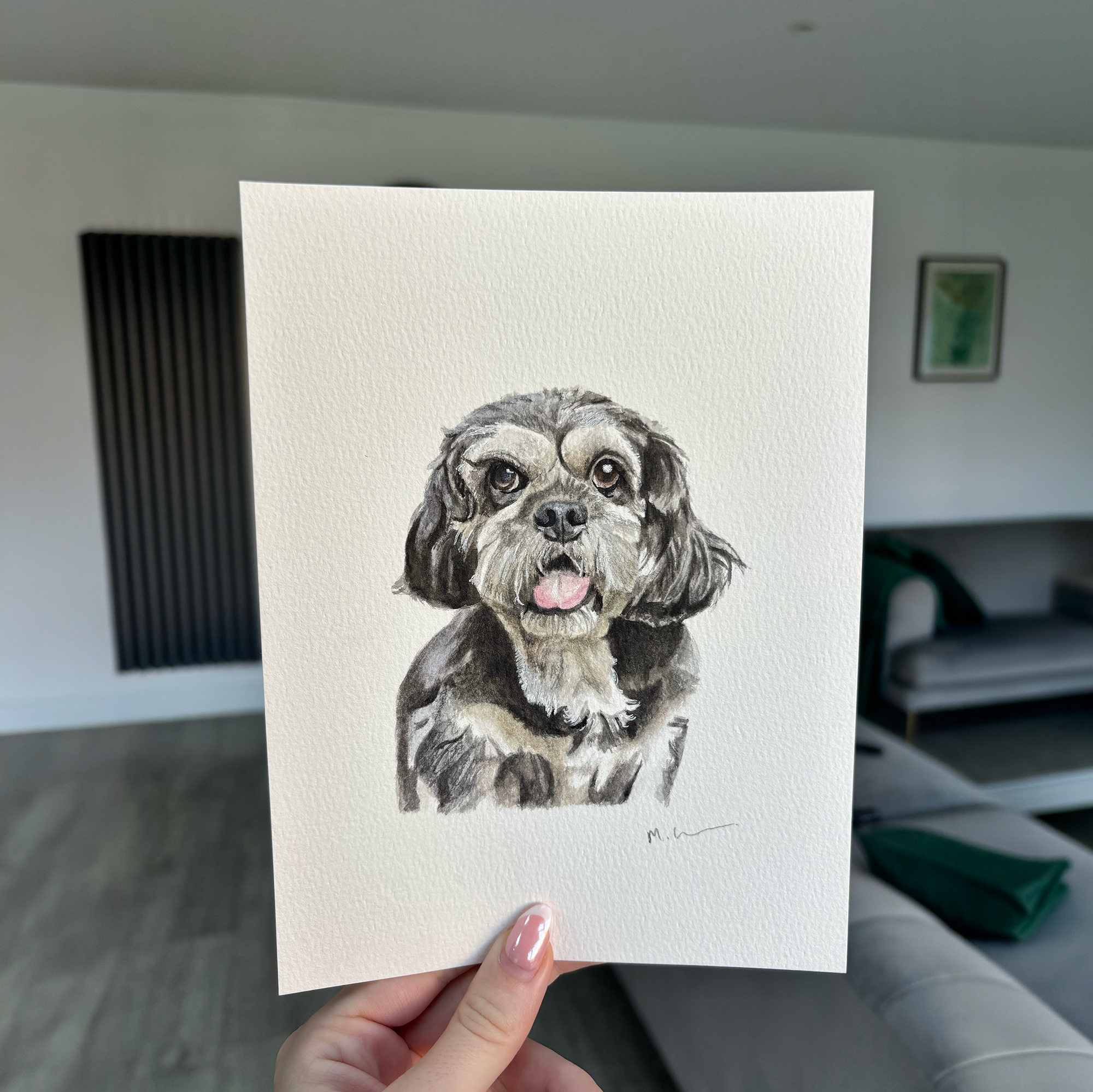 Single Pet Portraits