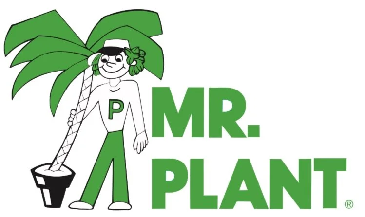 Mr. Plant